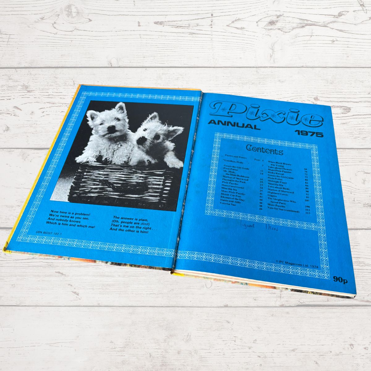 Open book with a blue cover featuring a black and white photo of two dogs on a wooden surface.