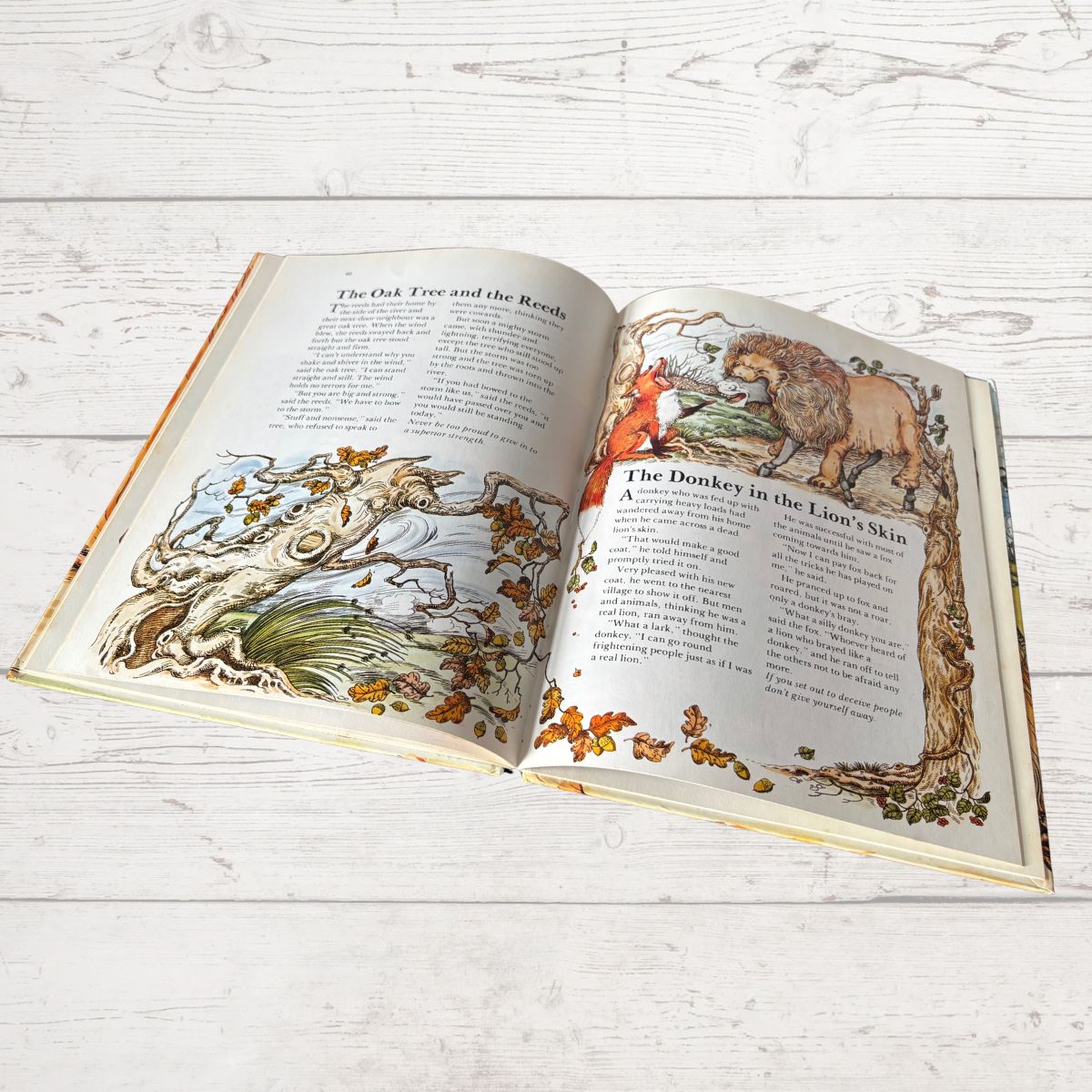 Open book with illustrated pages on a wooden surface