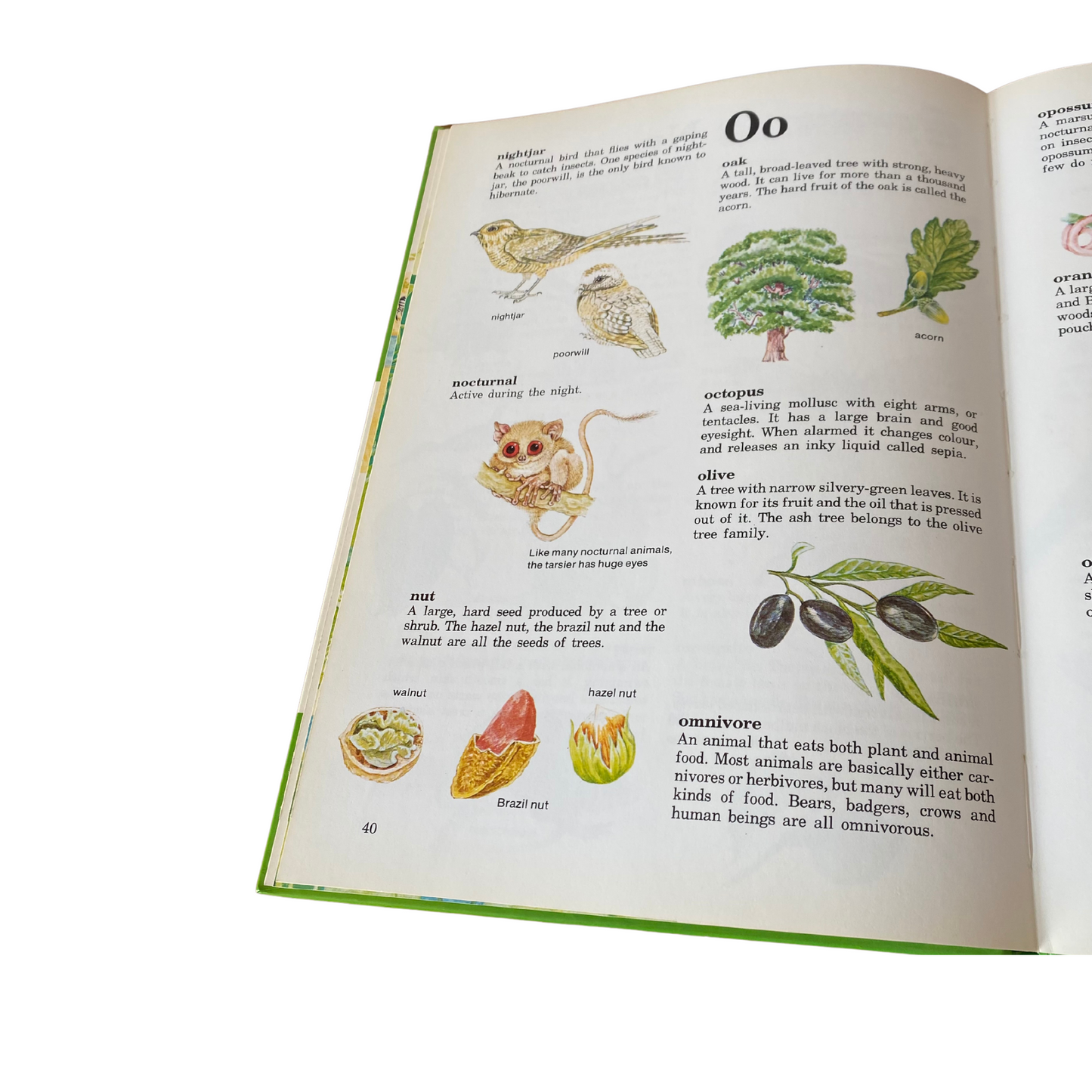 Vintage picture book. Purnell’s Picture Dictionary of Nature, 1980. Great gift idea. Beautiful illustrations.