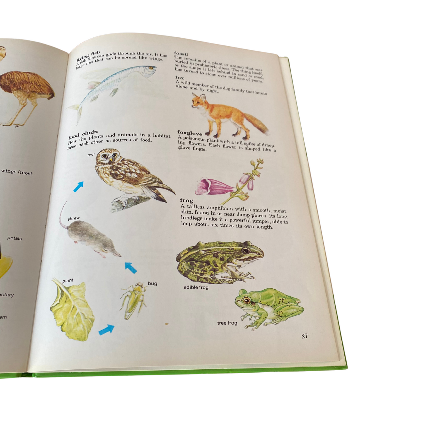 Vintage picture book. Purnell’s Picture Dictionary of Nature, 1980. Great gift idea. Beautiful illustrations.