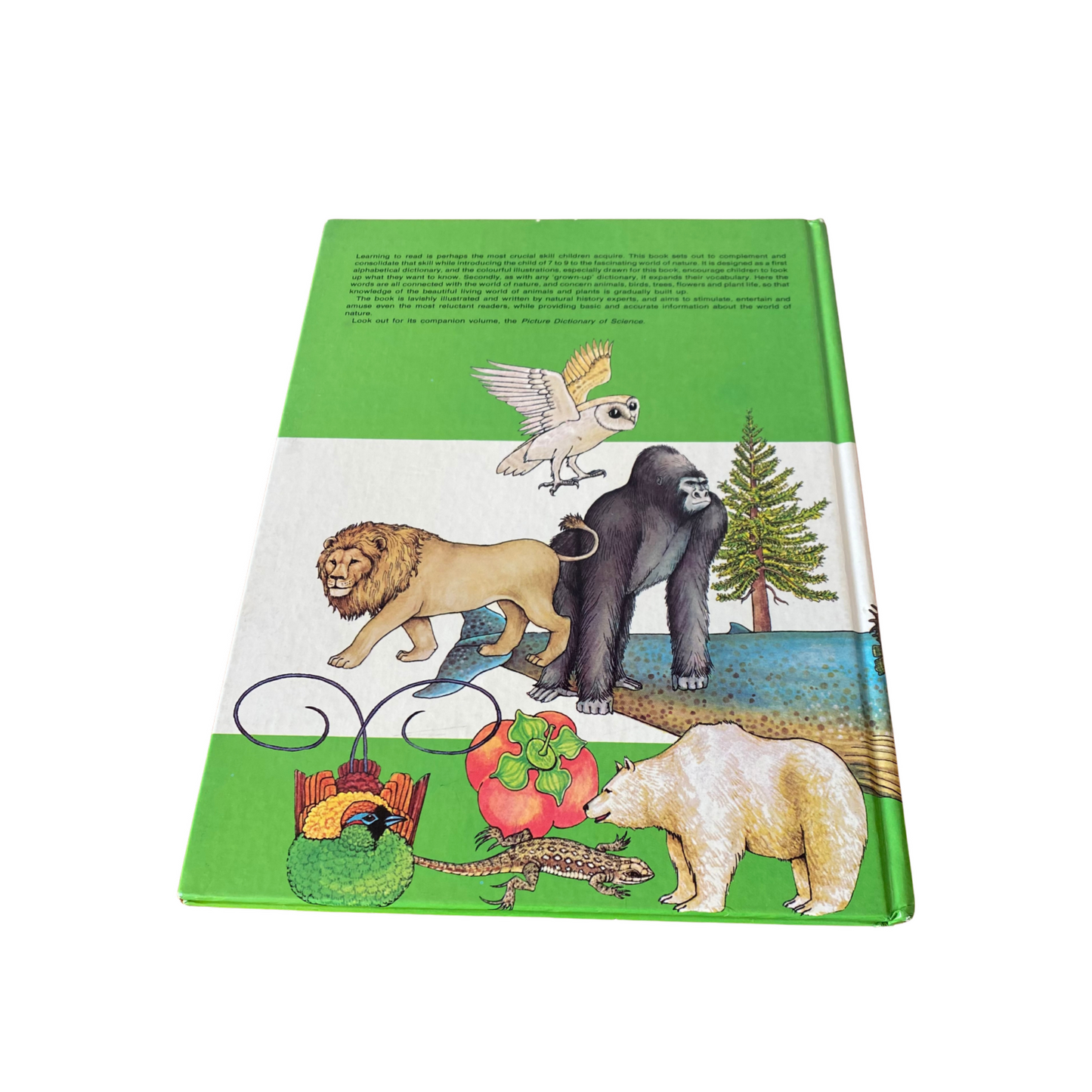 Vintage picture book. Purnell’s Picture Dictionary of Nature, 1980. Great gift idea. Beautiful illustrations.