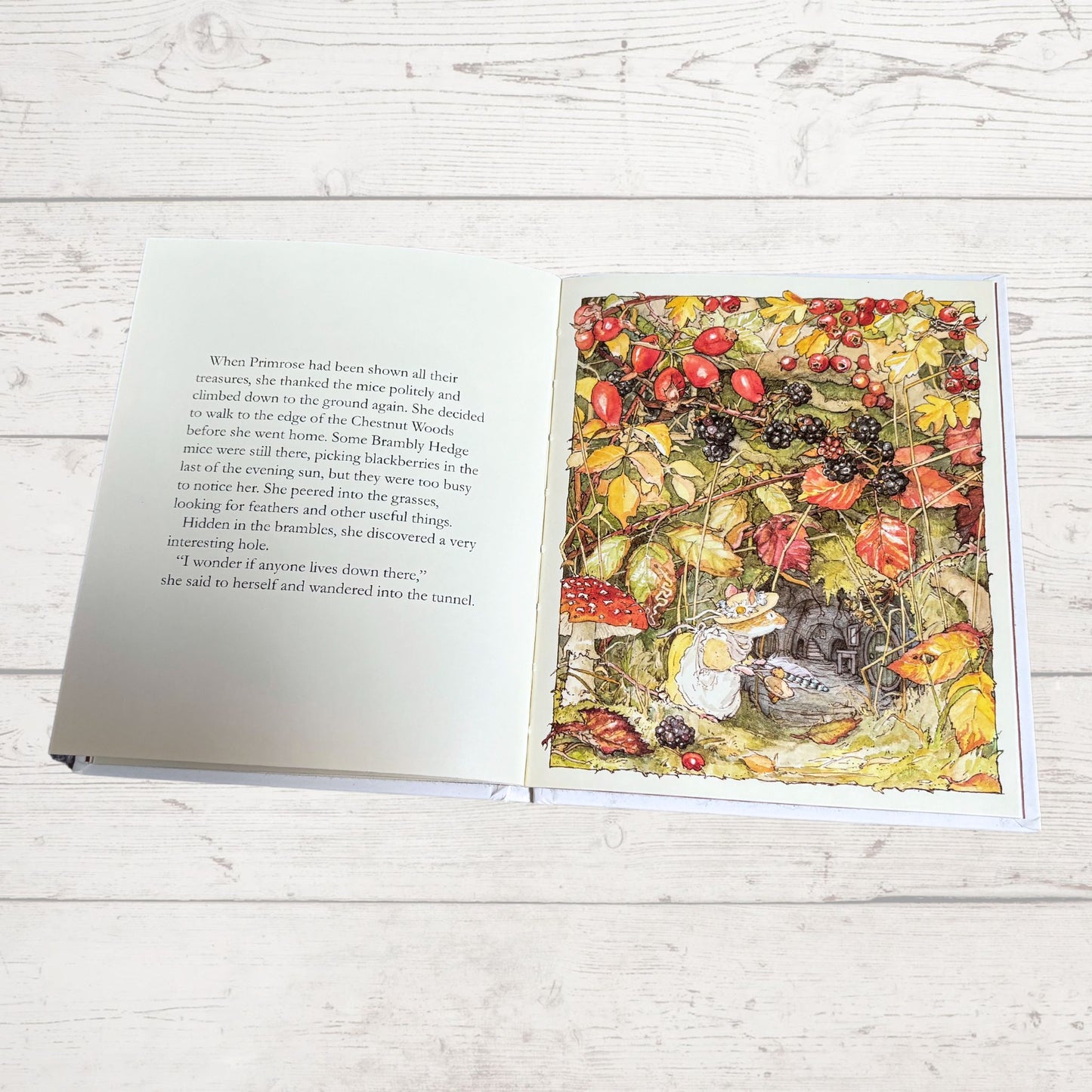 Brambly Hedge, Autumn Story by Jill Barklem. 1995 edition. Vintage children’s hardback picture book. Great gift idea