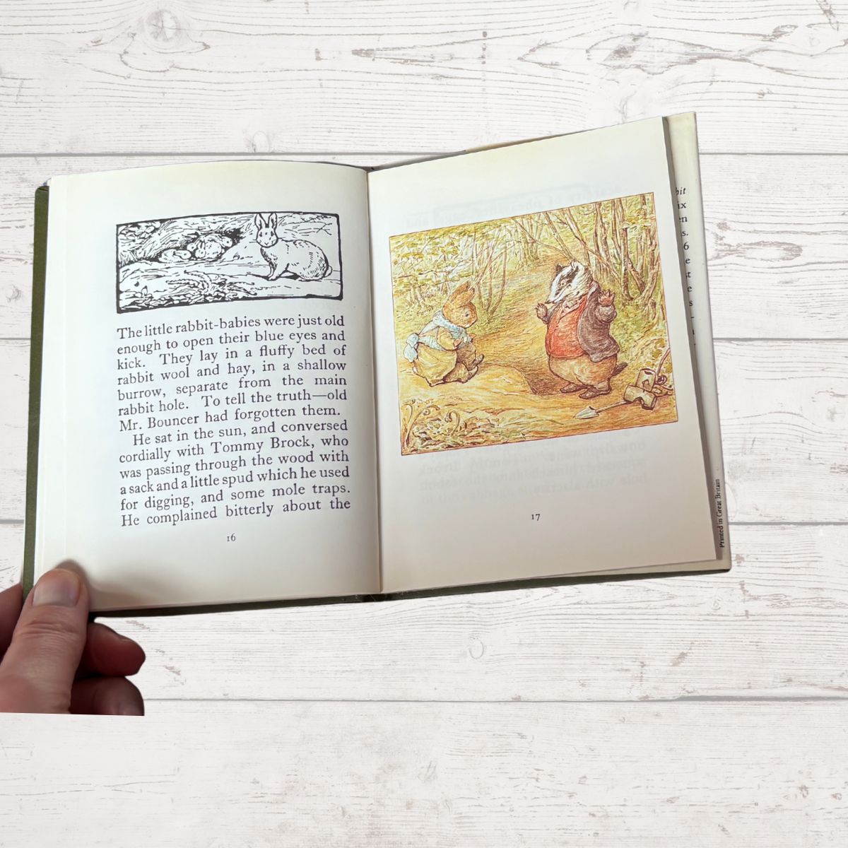 Open book with illustrations of a rabbit and fox on a wooden surface