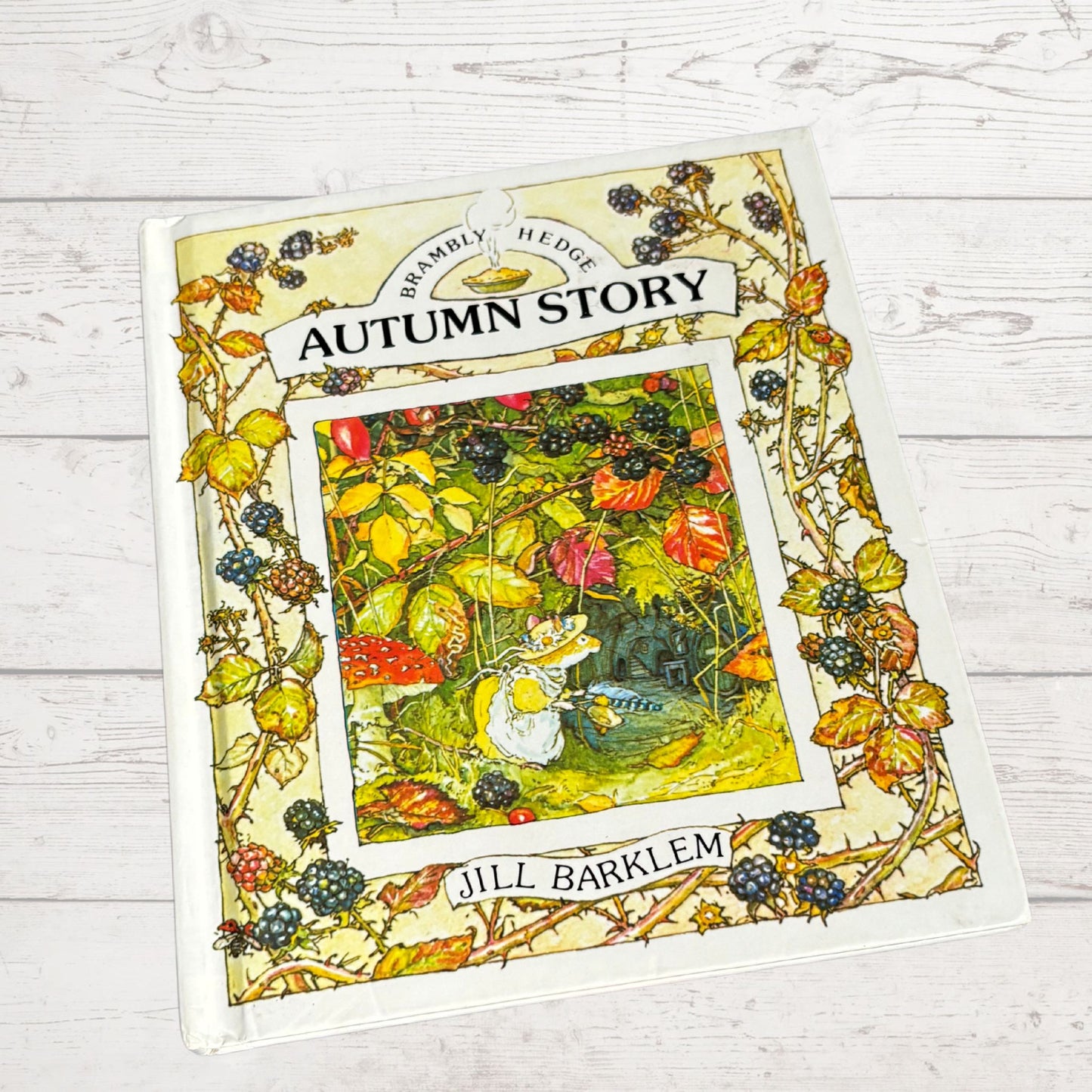 Brambly Hedge, Autumn Story by Jill Barklem. 1995 edition. Vintage children’s hardback picture book. Great gift idea