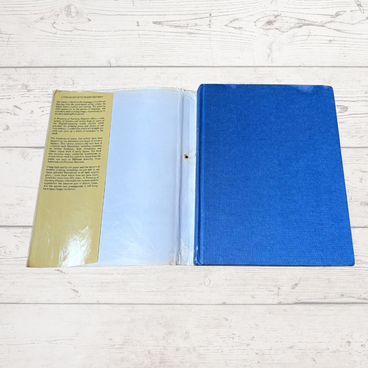 An open book lying flat on a light whitewashed wood surface. The right page has a textured royal blue cover, and the left page is a tan/gold page with black text under a clear plastic sleeve.