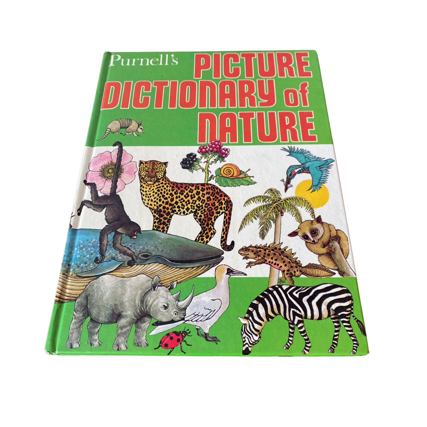 Vintage picture book. Purnell’s Picture Dictionary of Nature, 1980. Great gift idea. Beautiful illustrations.