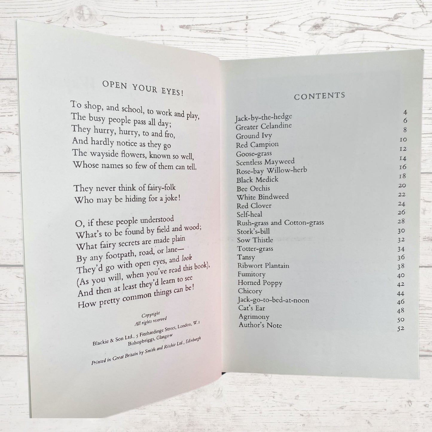 Flower Fairies of the wayside, 1970s edition by Cicely M Barker. Great gift idea