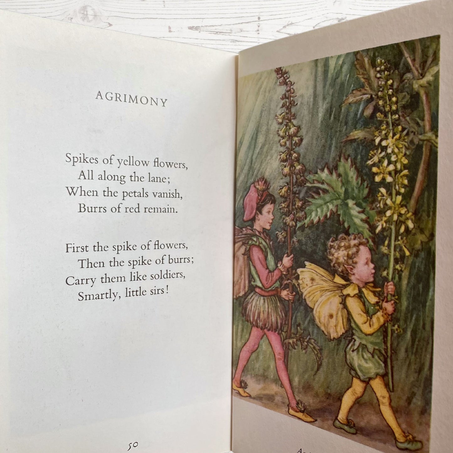 Flower Fairies of the wayside, 1970s edition by Cicely M Barker. Great gift idea