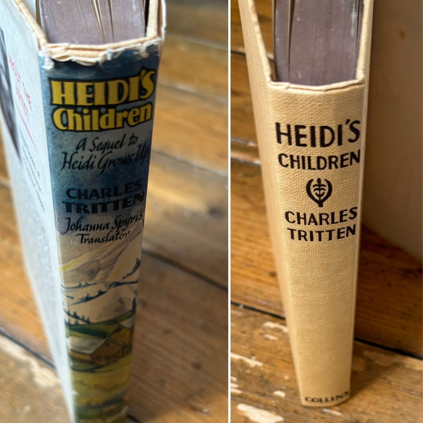 Heidi's Children: 1960s Hardcover Book with Original Dust Jacket