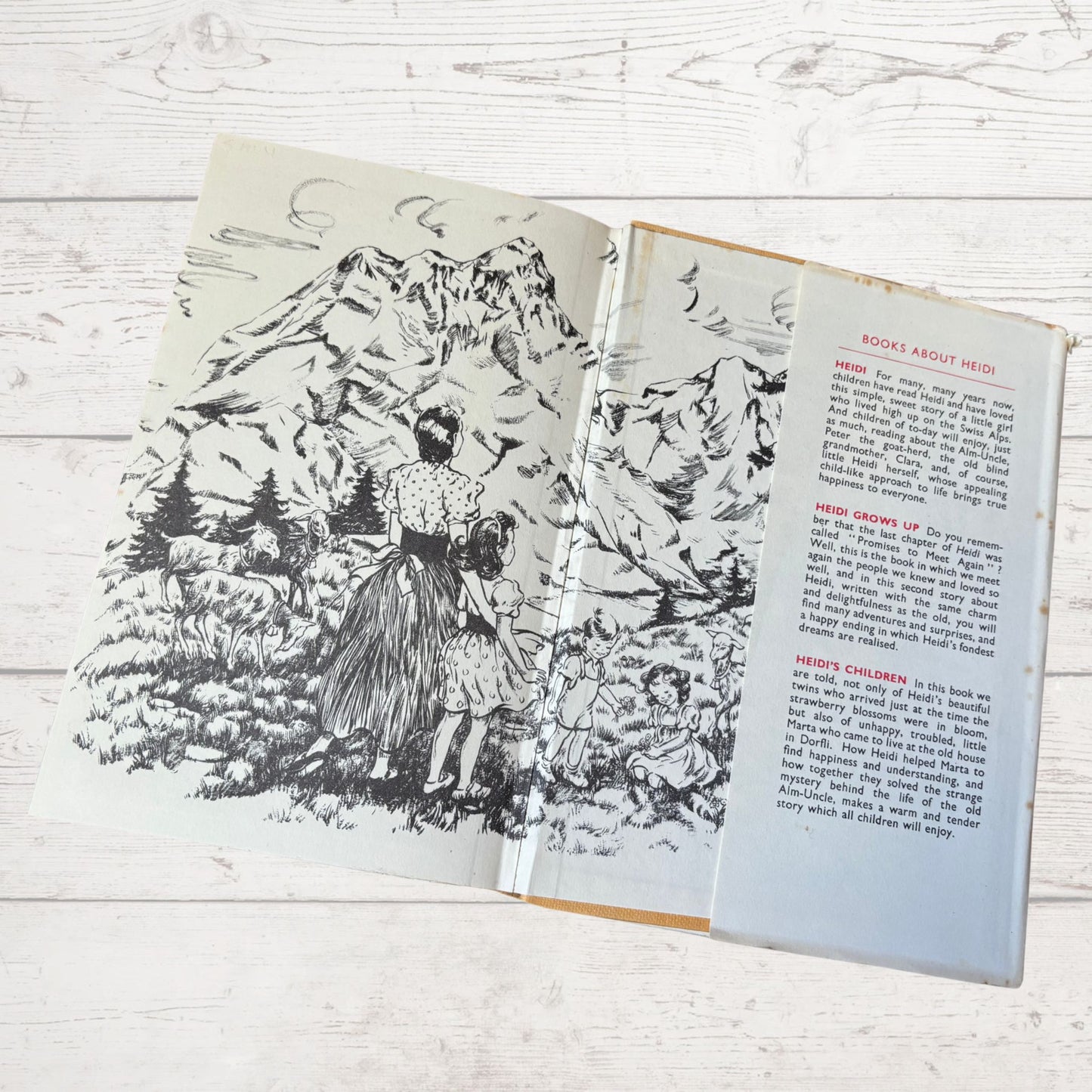 Heidi's Children: 1960s Hardcover Book with Original Dust Jacket