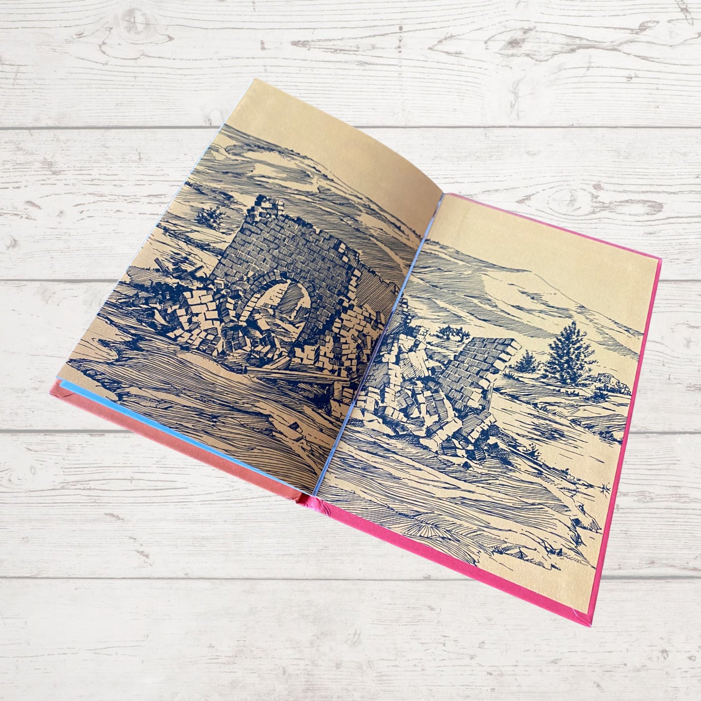 Vintage 1970s ladybird book, The Parable of The Two New Houses . Series 606A