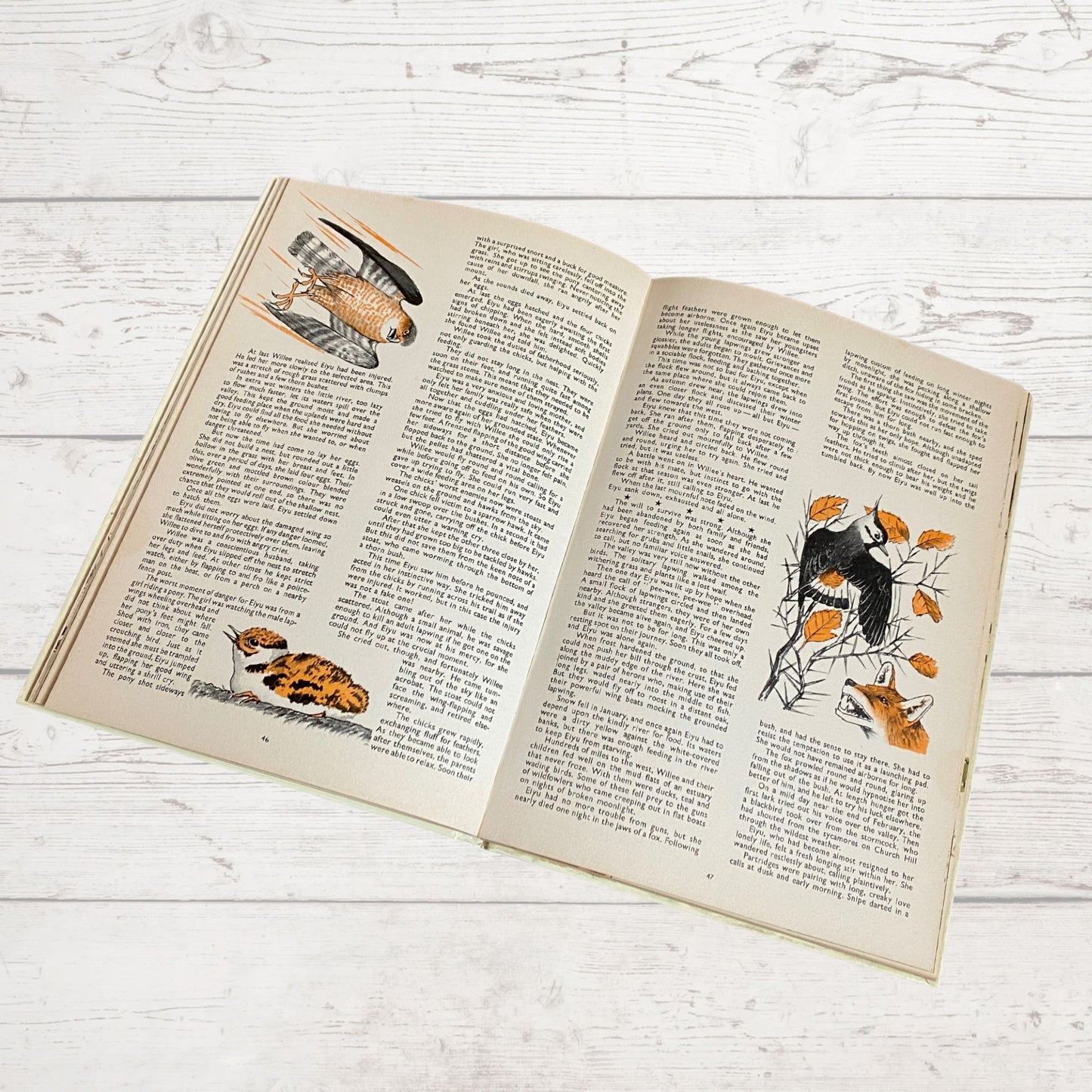 Vintage Mandy Annual 1976, full of fiction, activities and fun. Great gift idea