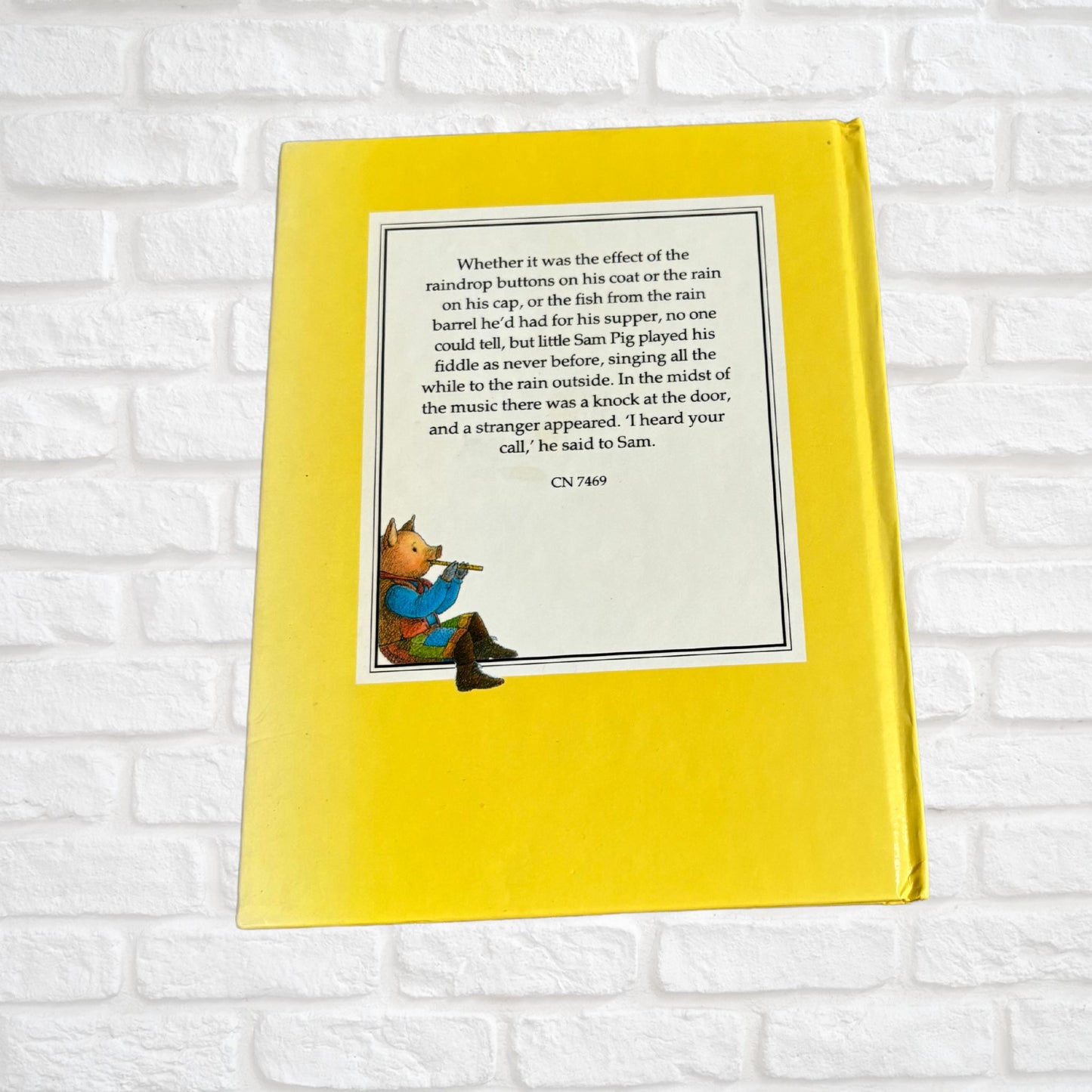 Vintage Hardback: The Adventures of Sam Pig - Magic Water by Alison Uttley, Illustrated by Graham Percy