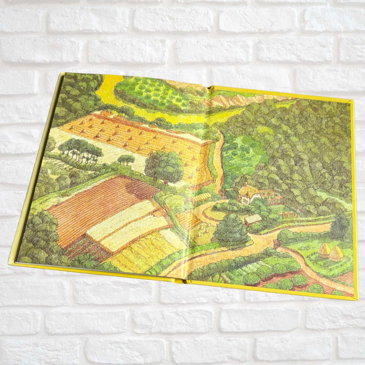 Vintage Hardback: The Adventures of Sam Pig - Magic Water by Alison Uttley, Illustrated by Graham Percy