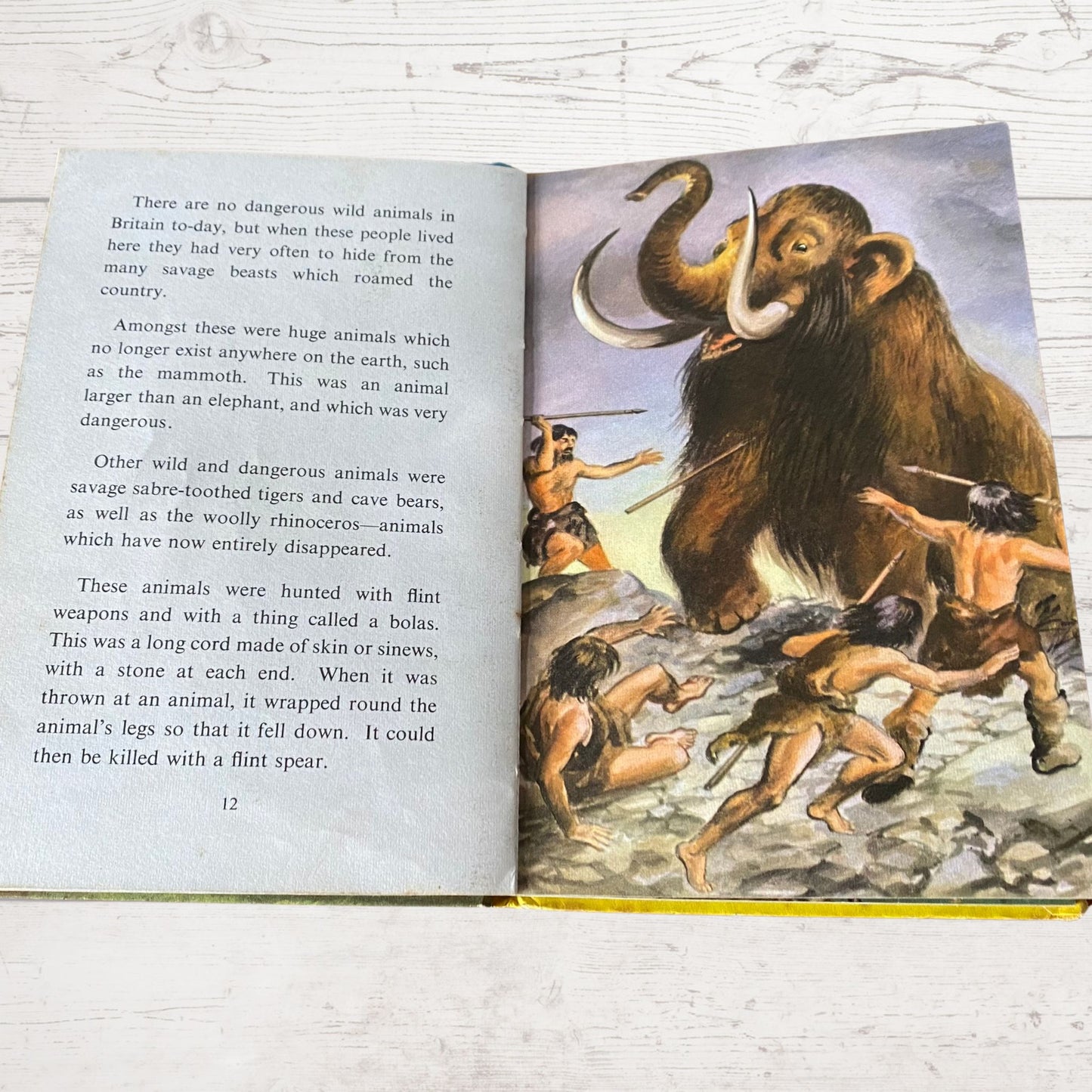 Vintage 1960s ladybird book.  Stone Age Man in Britain . An Adventure from History. Series 561