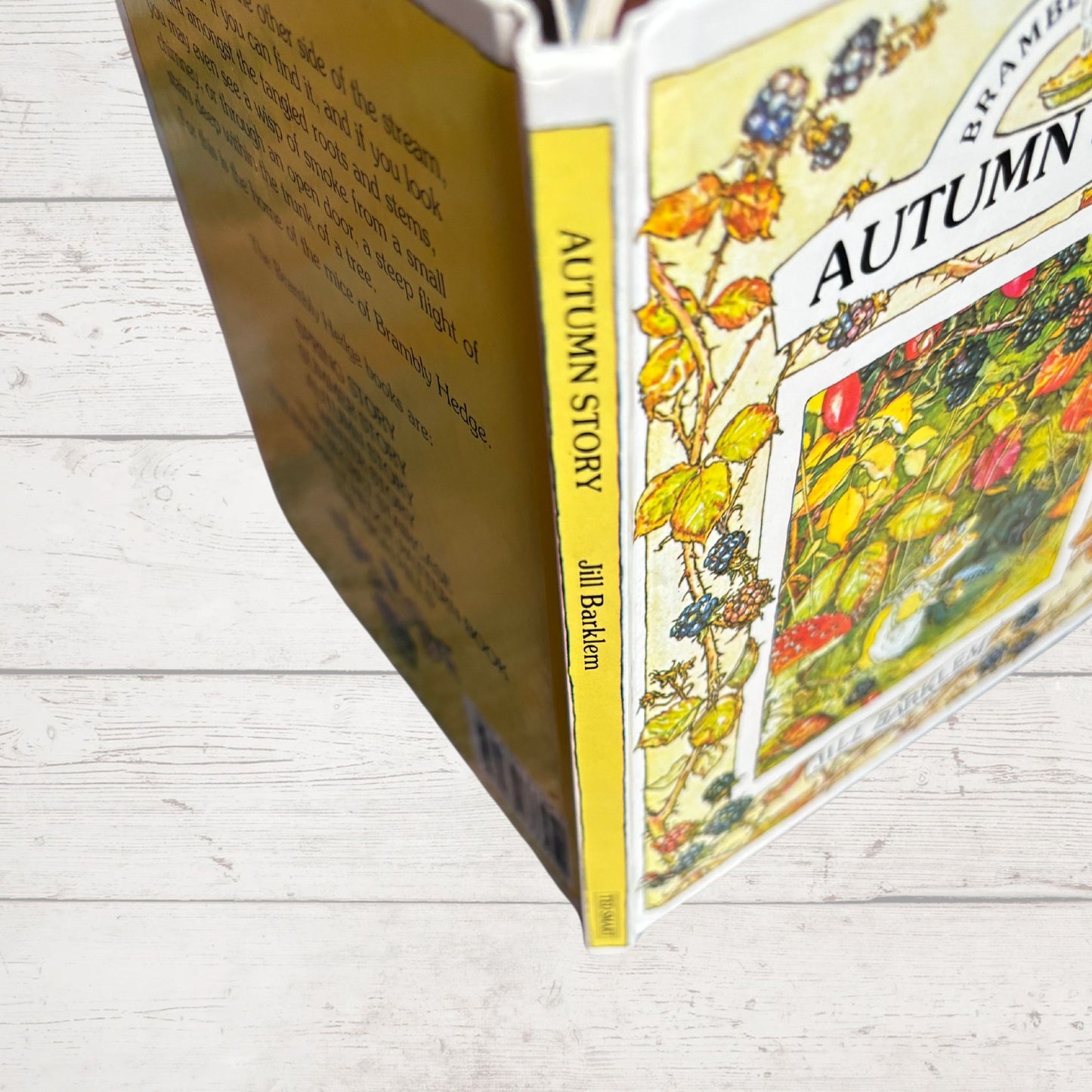 Brambly Hedge, Autumn Story by Jill Barklem. 1995 edition. Vintage children’s hardback picture book. Great gift idea