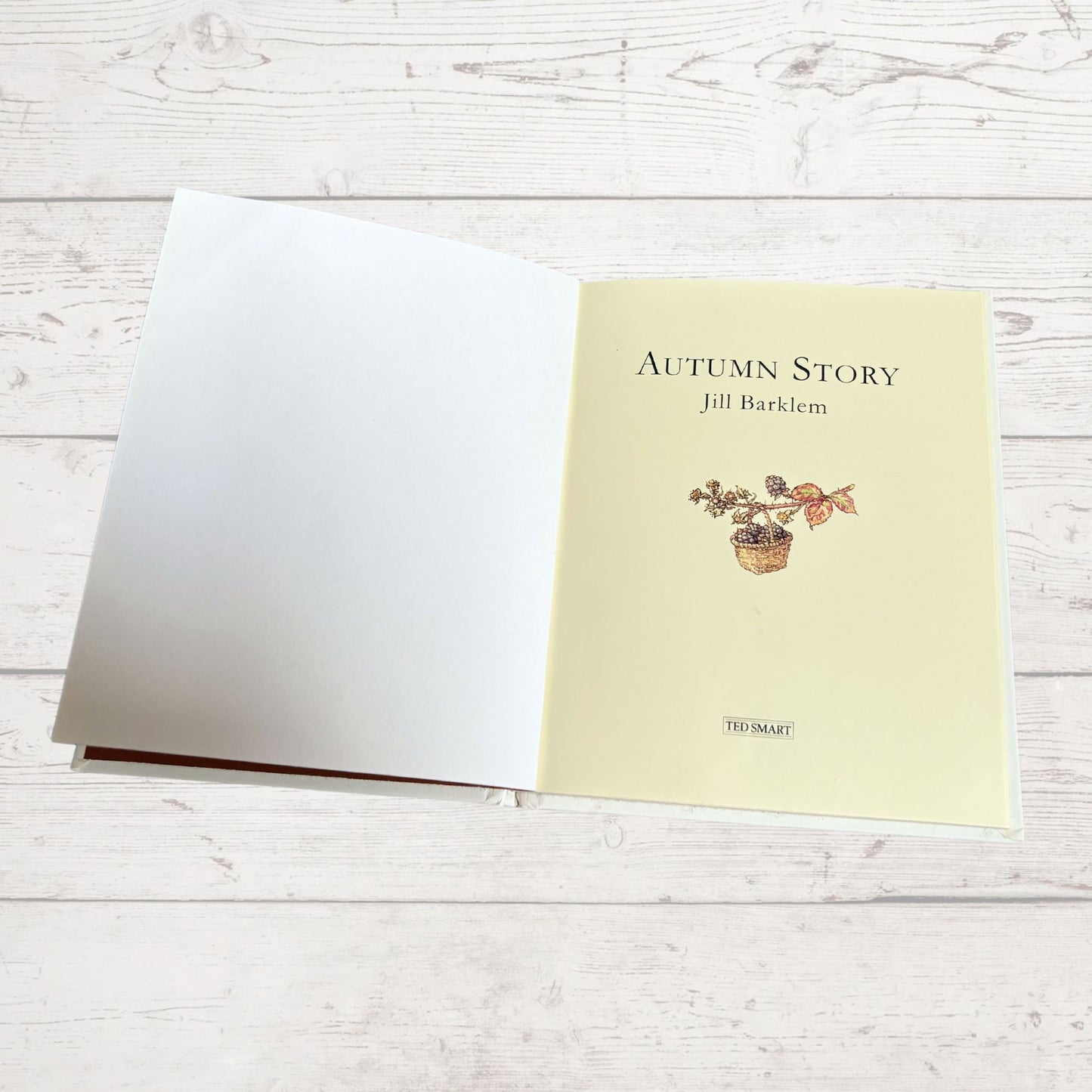 Brambly Hedge, Autumn Story by Jill Barklem. 1995 edition. Vintage children’s hardback picture book. Great gift idea