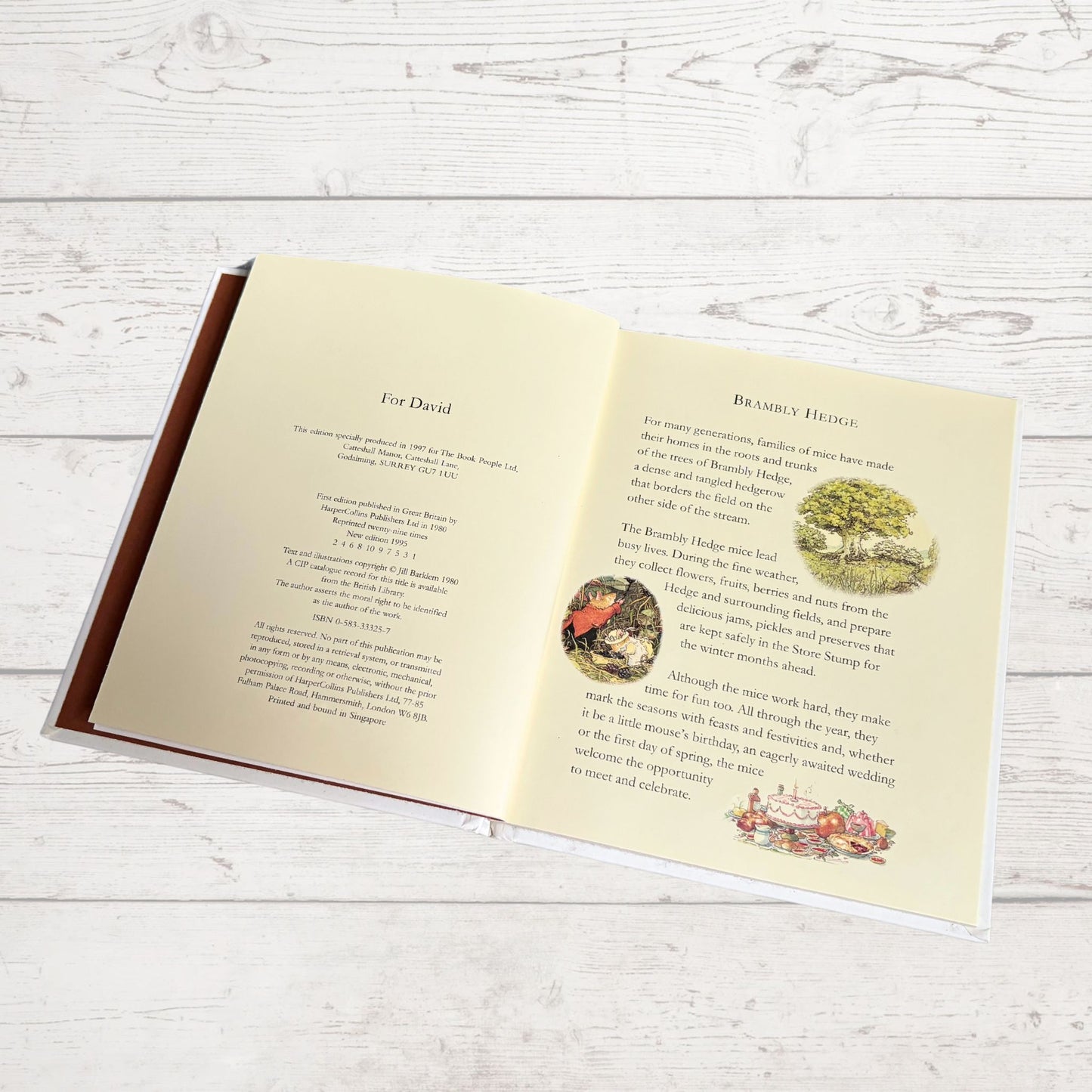 Brambly Hedge, Autumn Story by Jill Barklem. 1995 edition. Vintage children’s hardback picture book. Great gift idea