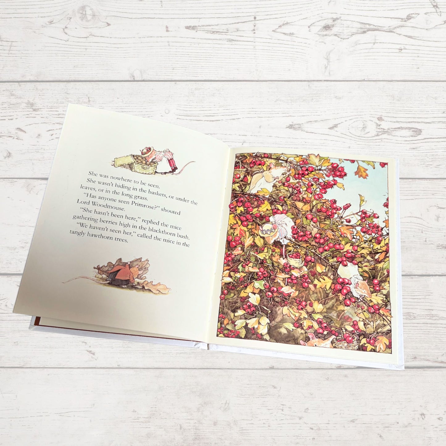 Brambly Hedge, Autumn Story by Jill Barklem. 1995 edition. Vintage children’s hardback picture book. Great gift idea