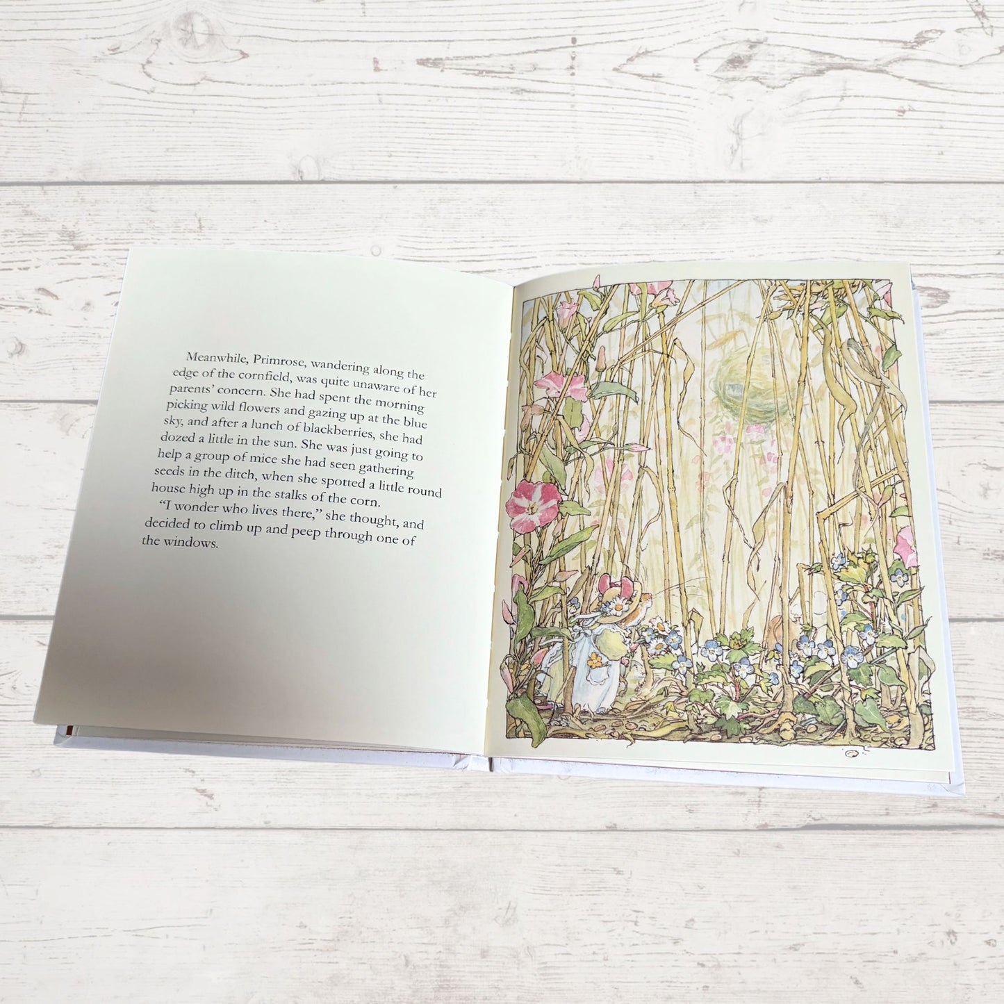Brambly Hedge, Autumn Story by Jill Barklem. 1995 edition. Vintage children’s hardback picture book. Great gift idea