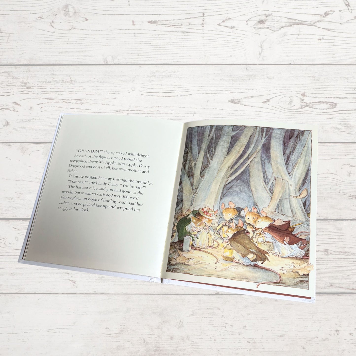Brambly Hedge, Autumn Story by Jill Barklem. 1995 edition. Vintage children’s hardback picture book. Great gift idea