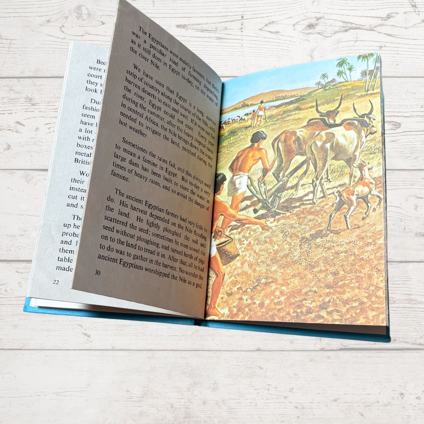 Vintage 1970s ladybird book, Cleopatra and Ancient Egypt. Series 561