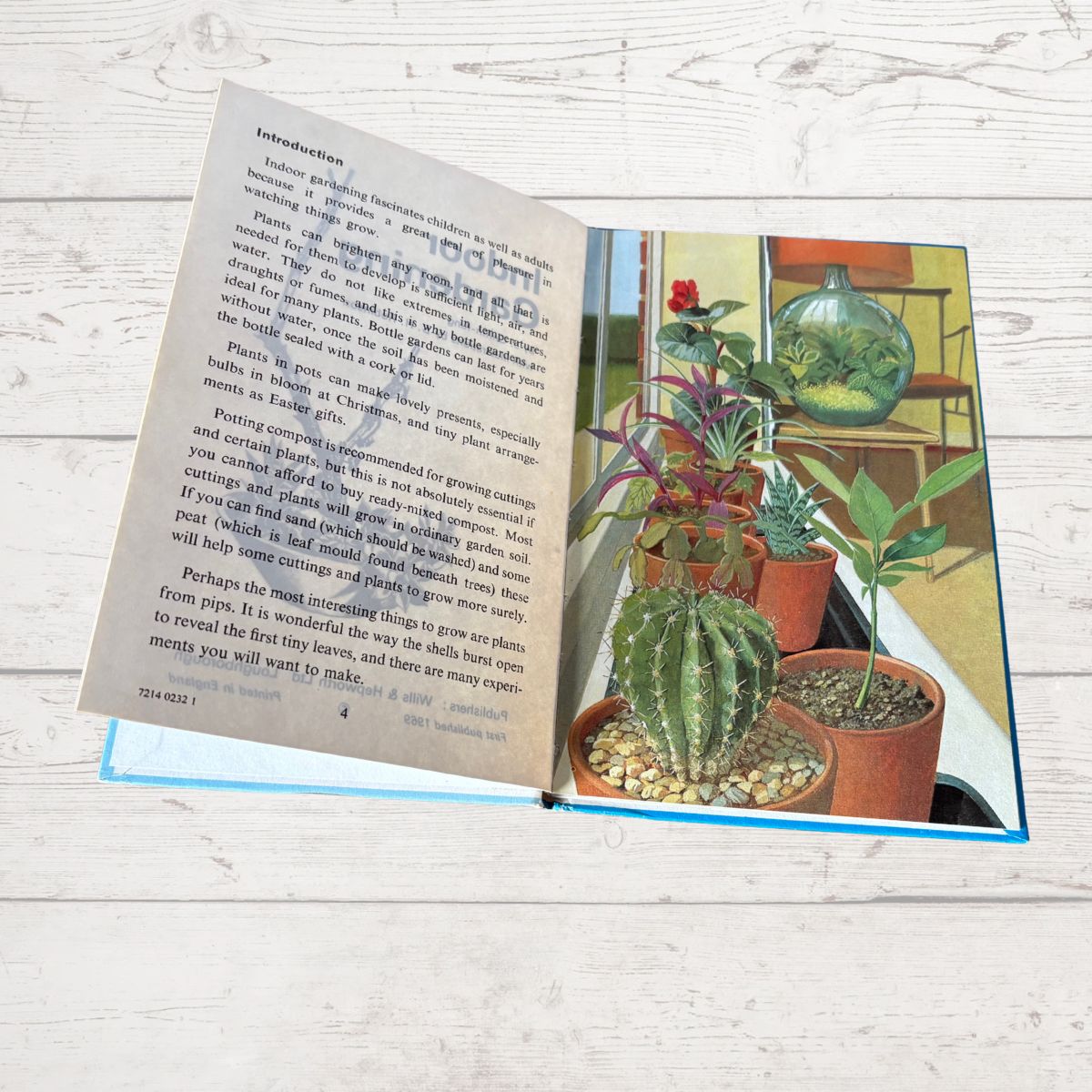 Open book with illustrations of plants on a wooden surface