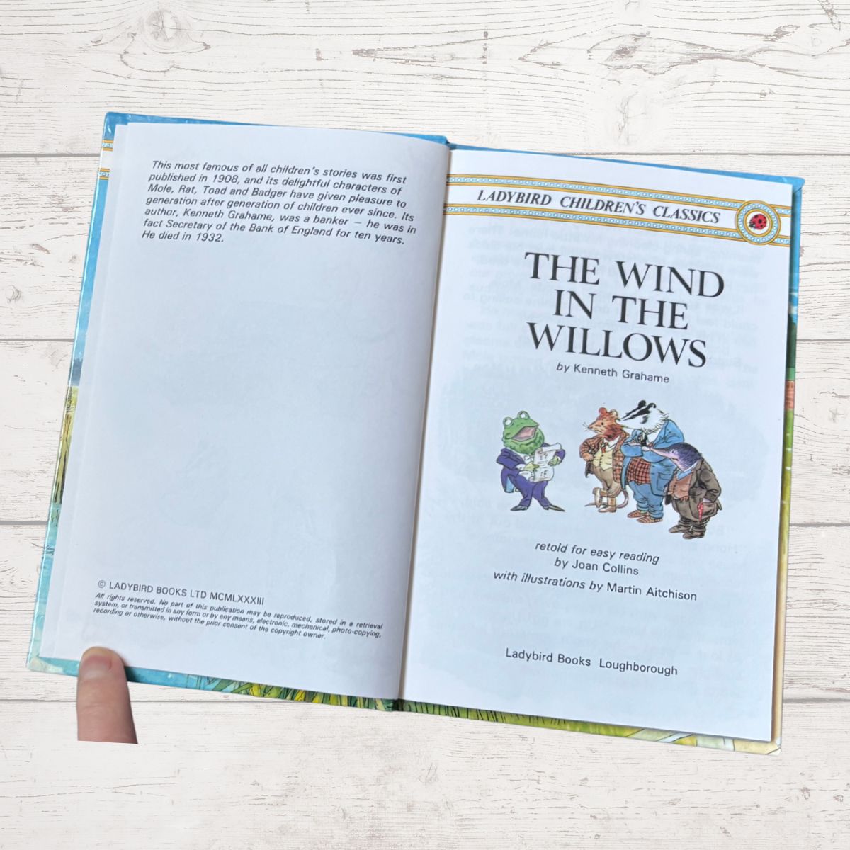 Open book titled 'The Wind in the Willows' by Kenneth Grahame on a light wooden surface.