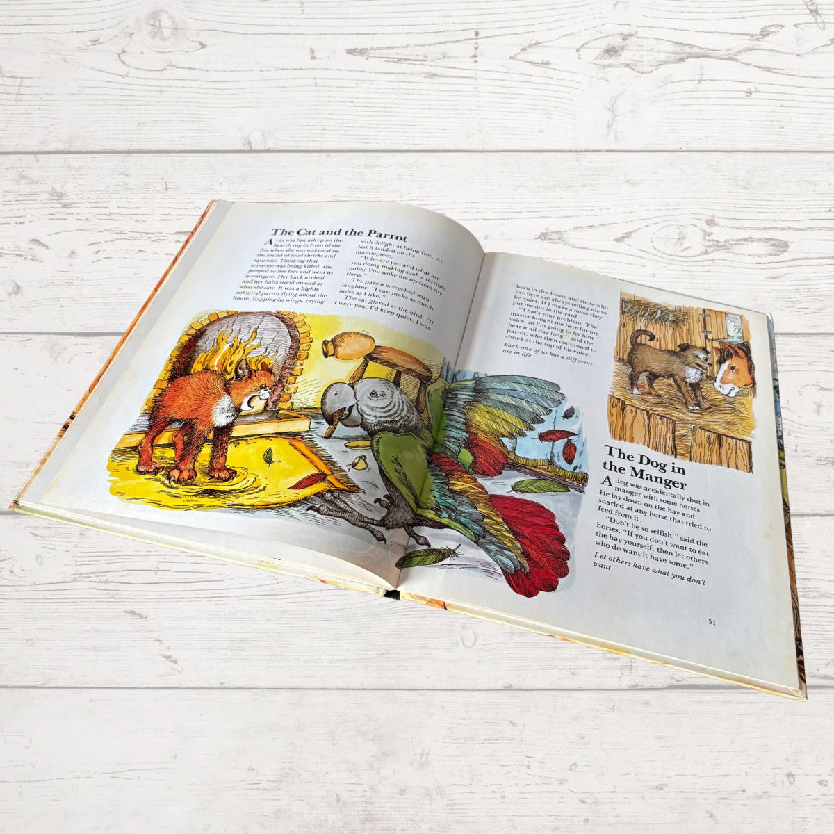 Open book with illustrations of a parrot and a dog on a wooden surface