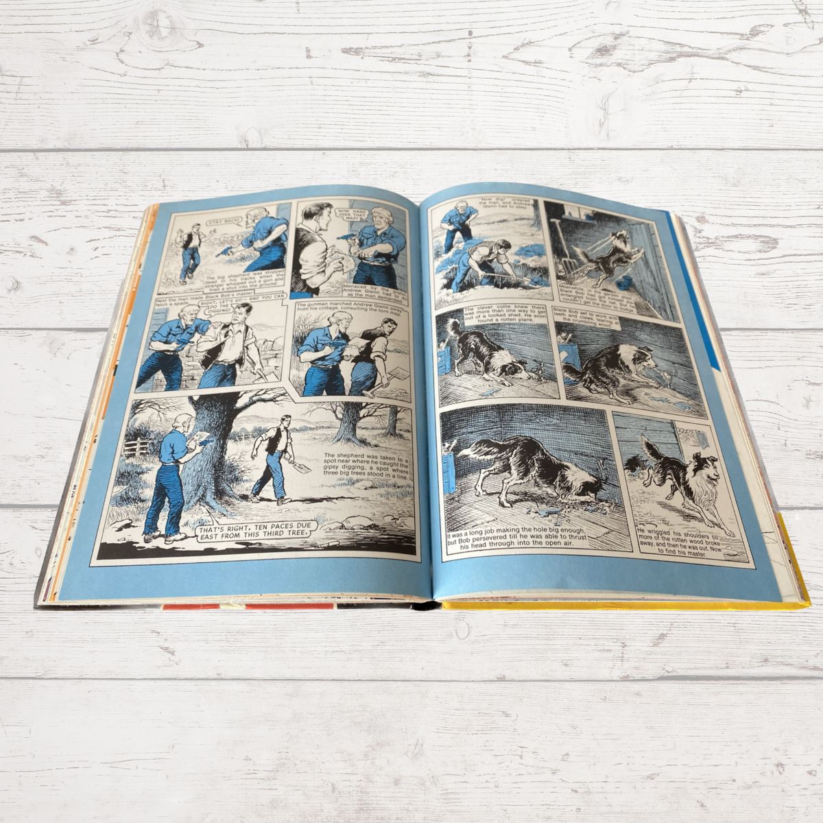 Vintage Dandy Annual 1978. Great nostalgic gift idea