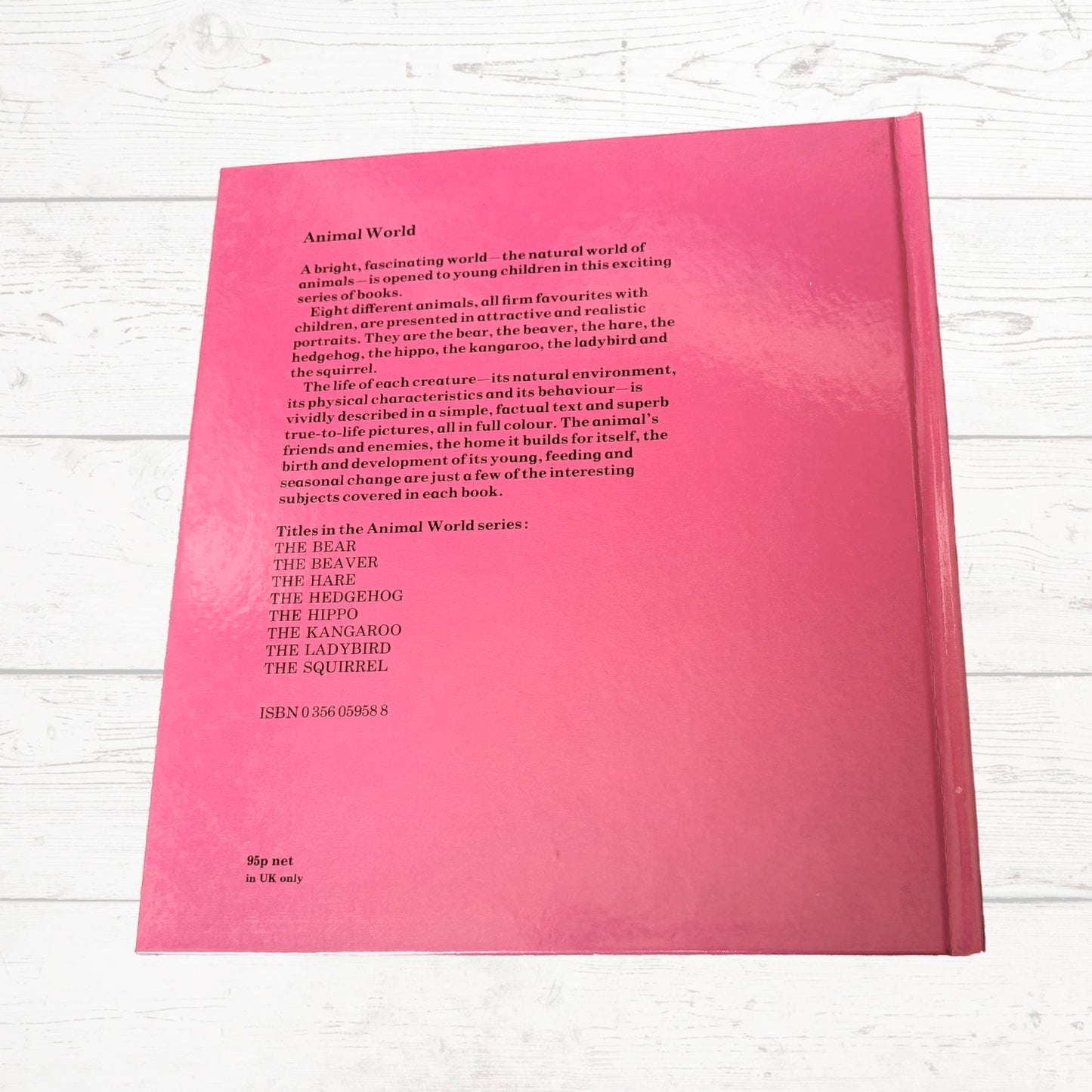 Vintage 1970s Children's Book: The Bear - Beautifully Illustrated Educational Hardback Animal & Nature Facts