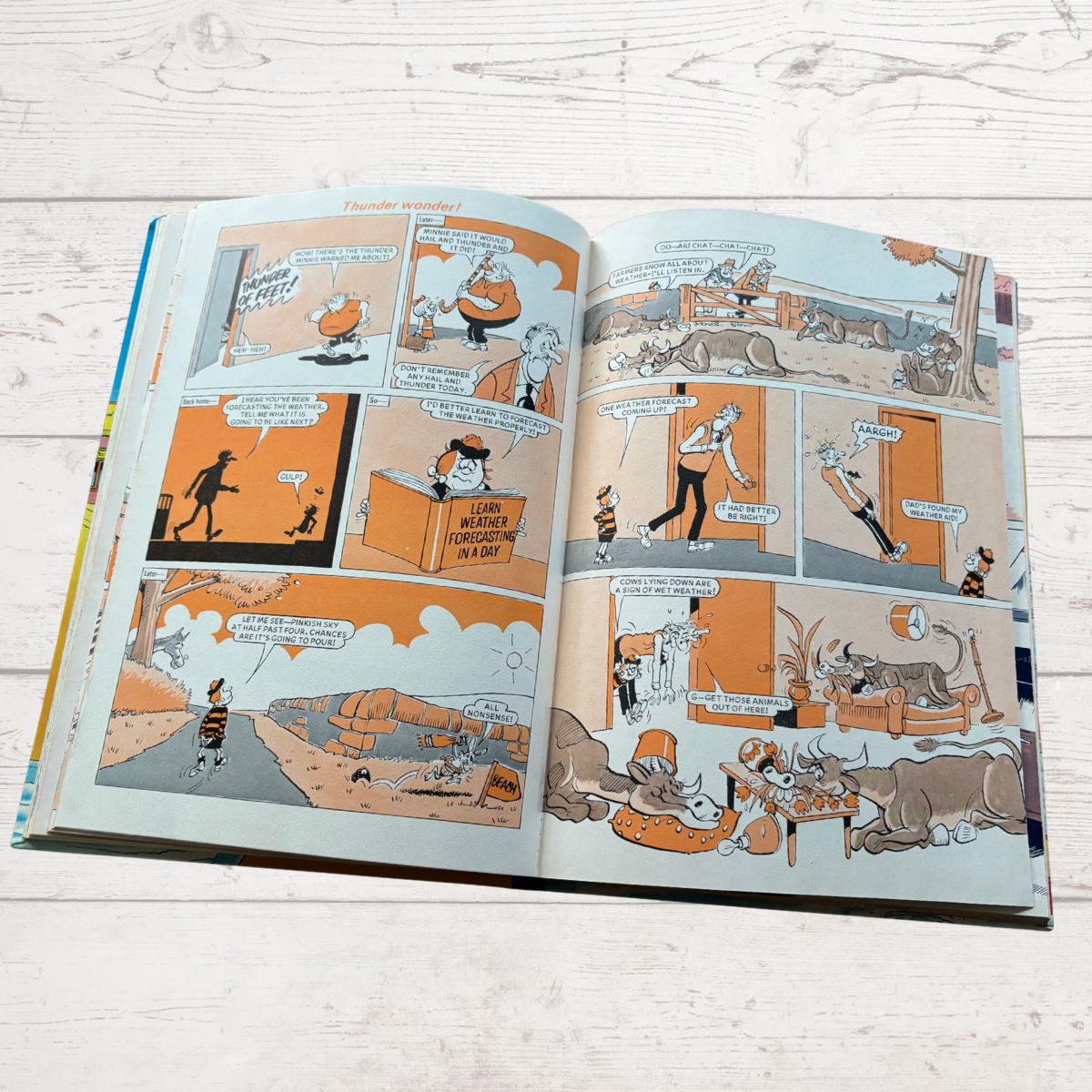 Vintage Beano Book 1982.Comic Strip Annual for Nostalgic Reading & Collecting. Great Gift Idea