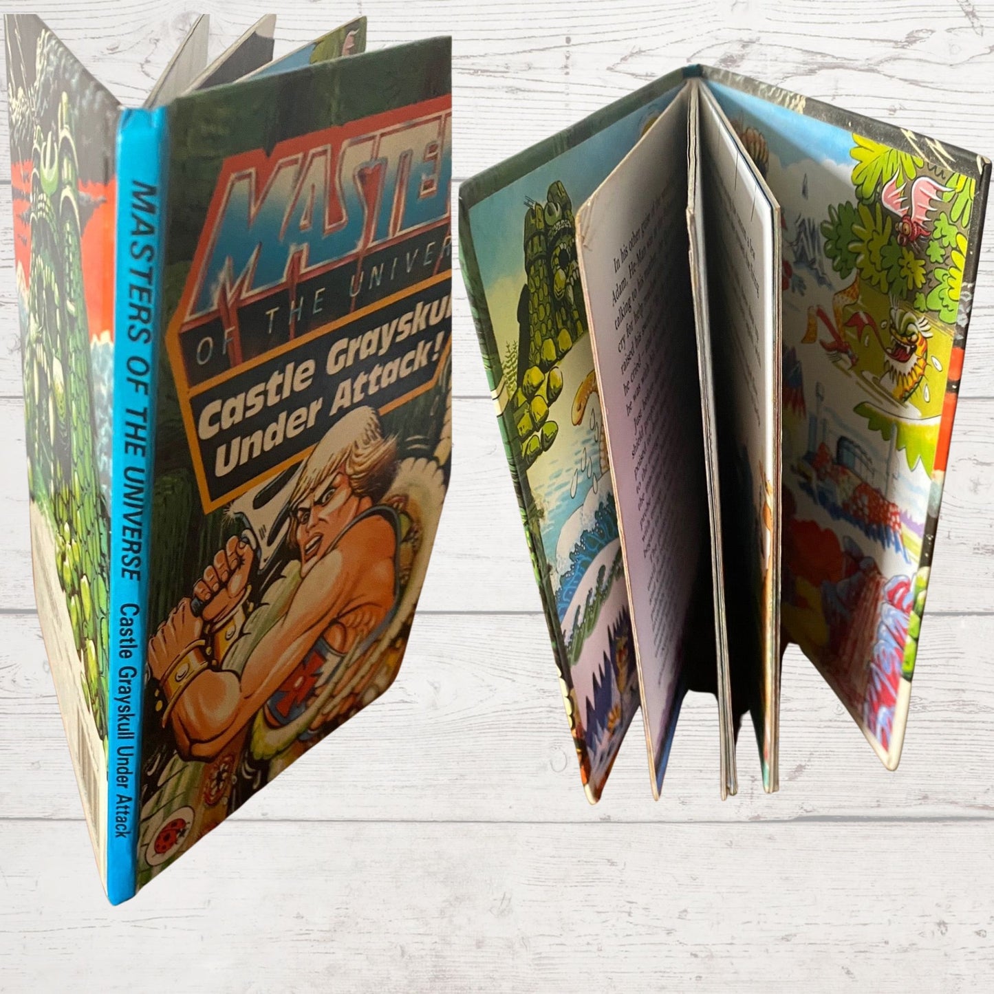 Castle Grayskull Under Attack ! He - Man. Masters of the Universe. Vintage ladybird book. Great gift idea
