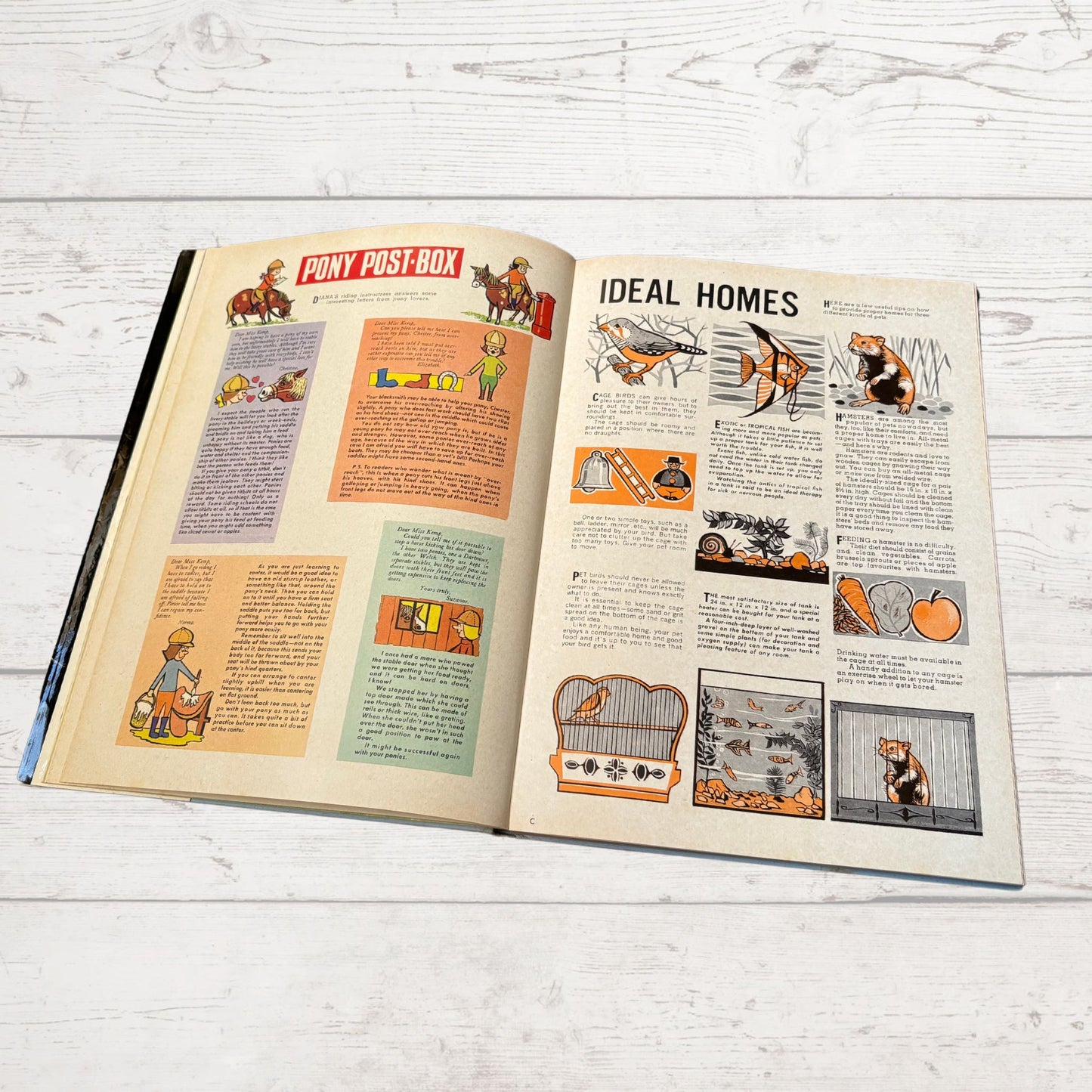 Vintage Diana Annual 1967, full of fiction, fashion, fun and nostalgia. Great gift idea