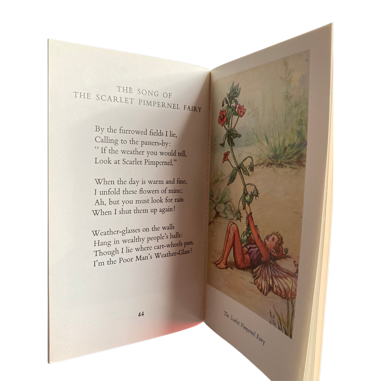 Flower Fairies of the Summer, 1970s edition by Cicely M Barker. Great gift idea