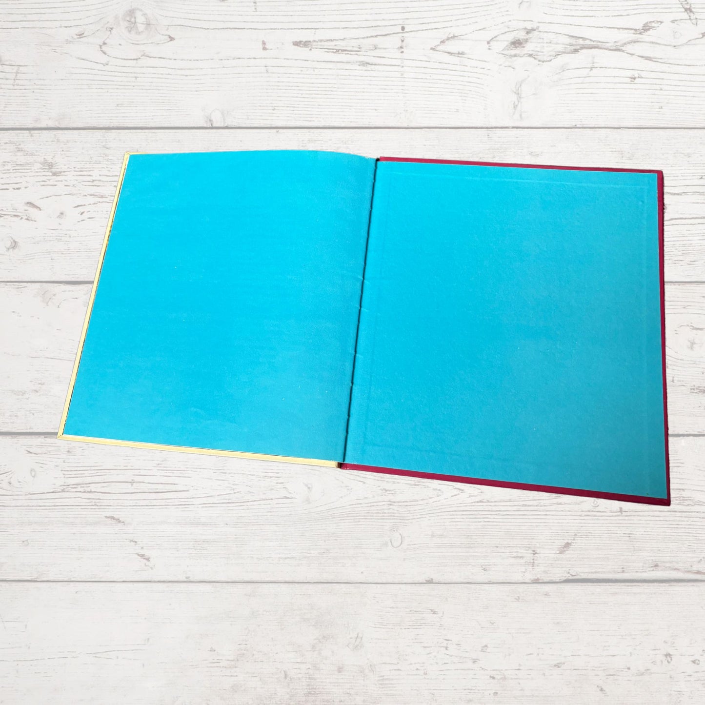 Vintage 1970s Children's Book: The Bear - Beautifully Illustrated Educational Hardback Animal & Nature Facts