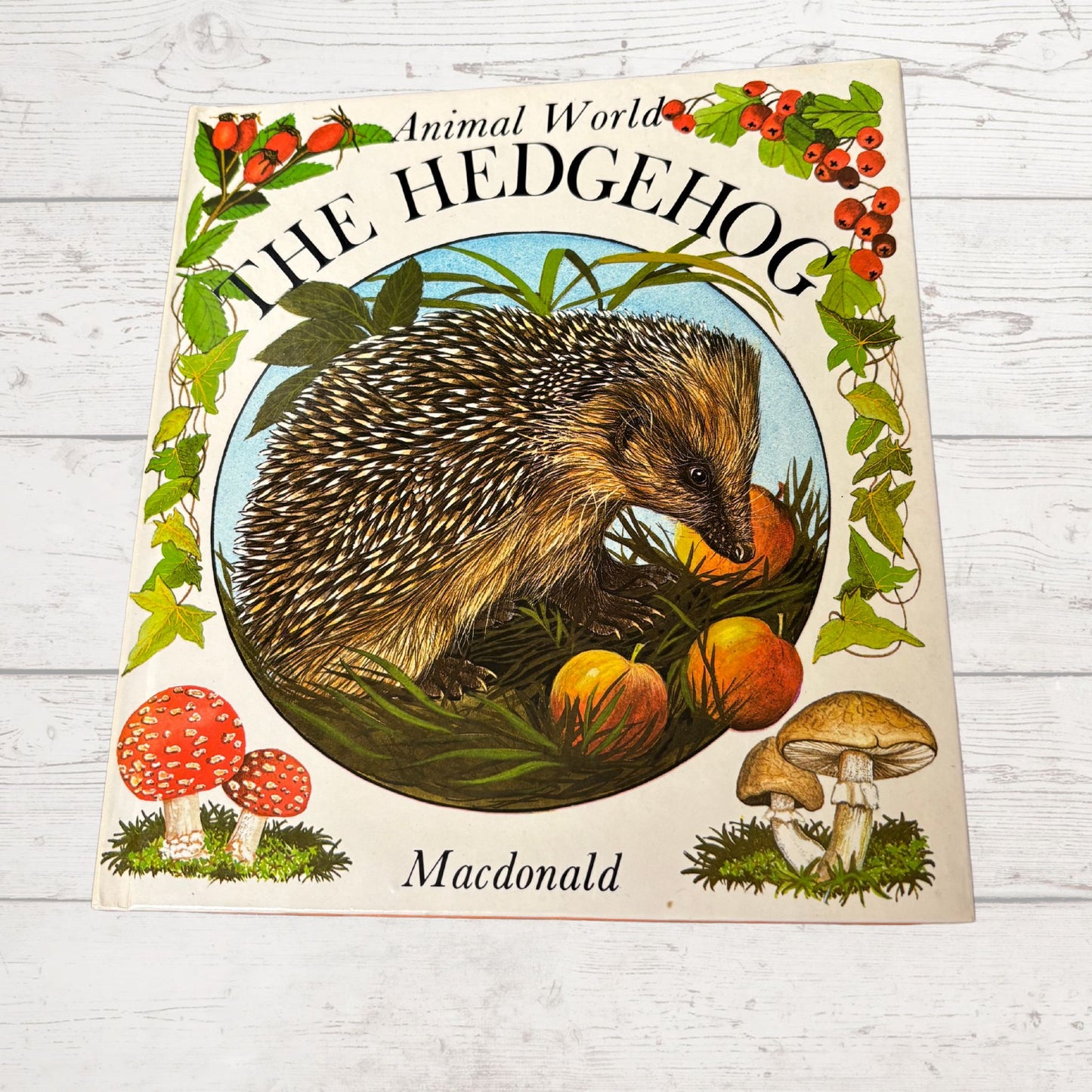 Vintage 1970s Children's Book: The Hedgehog  - Beautifully Illustrated Educational Hardback Animal & Nature Facts