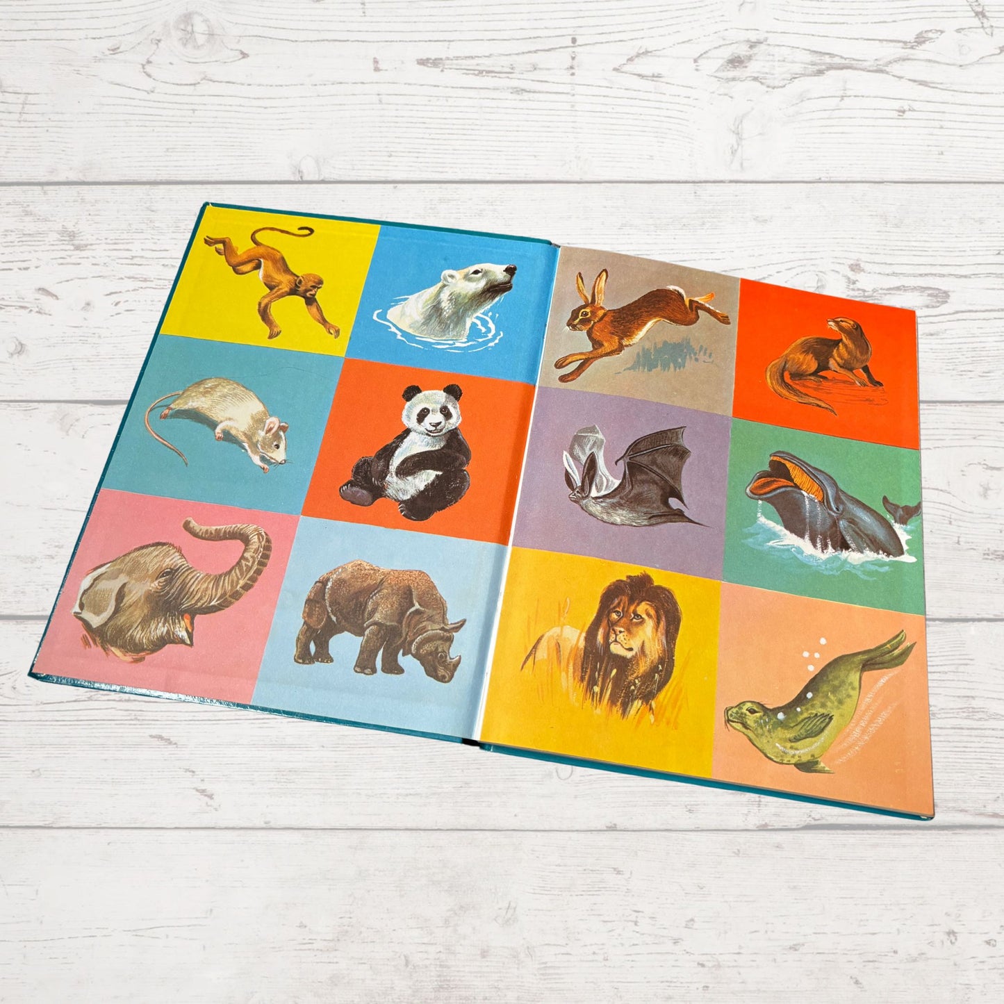 Vintage 1960s Children's Book: Wildlife - Beautifully Illustrated Colourful Hardback Encyclopaedia