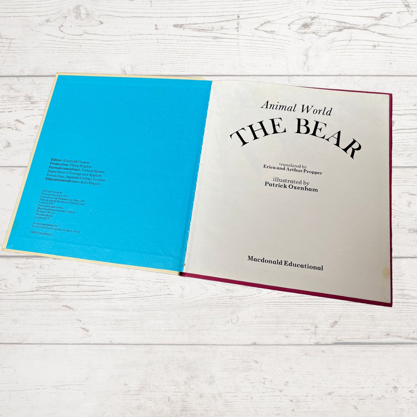 Vintage 1970s Children's Book: The Bear - Beautifully Illustrated Educational Hardback Animal & Nature Facts