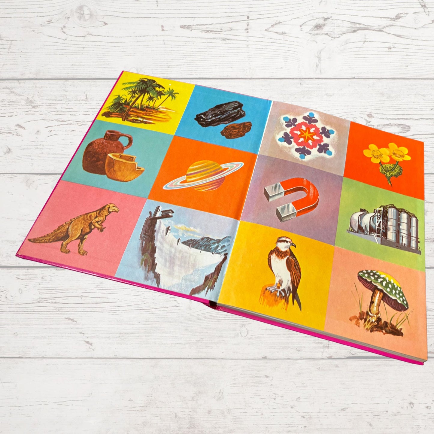 Vintage 1970s Children's Book: Our World  - Beautifully Illustrated Colourful Hardback Encyclopaedia