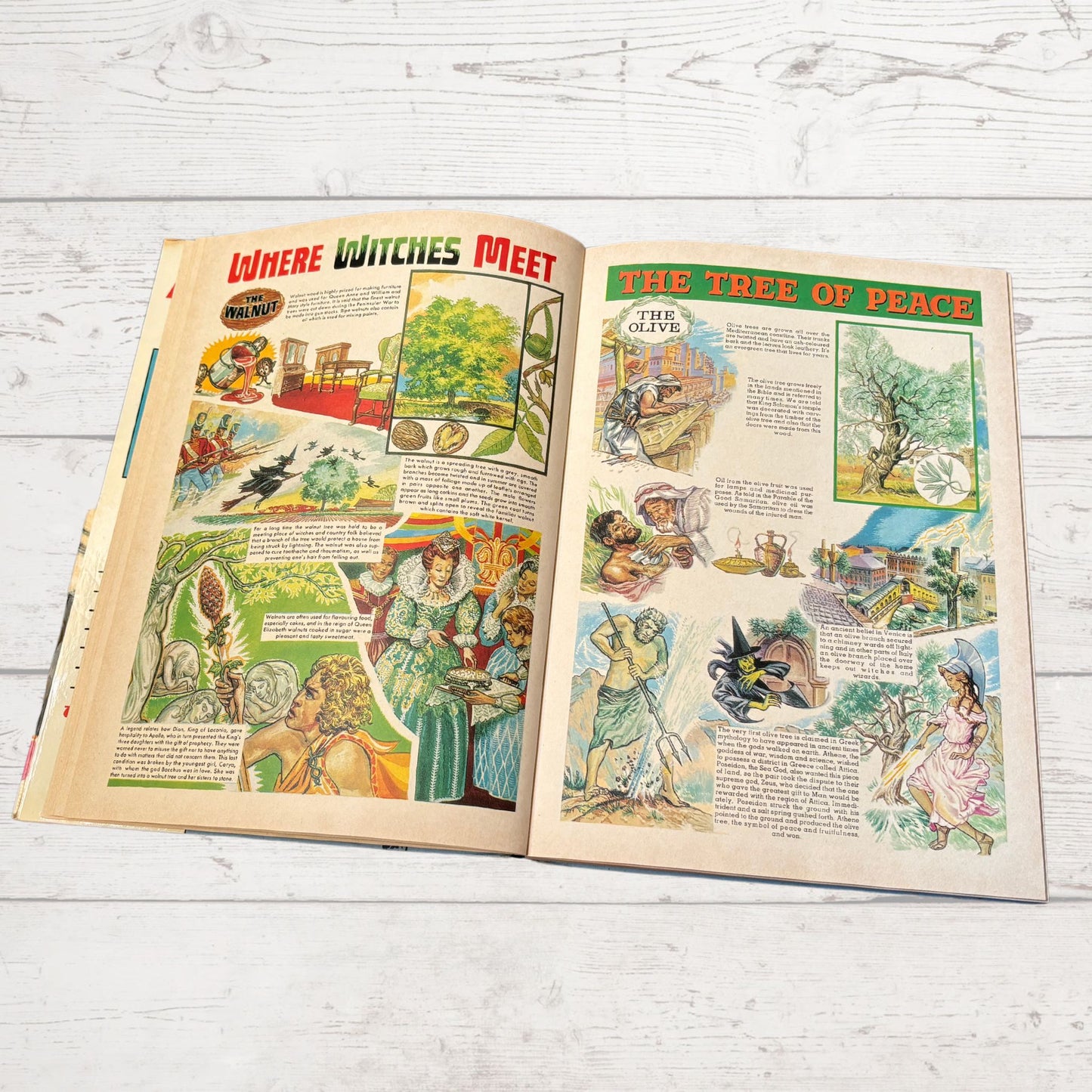 Vintage Diana Annual 1970, full of fiction, fashion, fun and nostalgia. Great gift idea