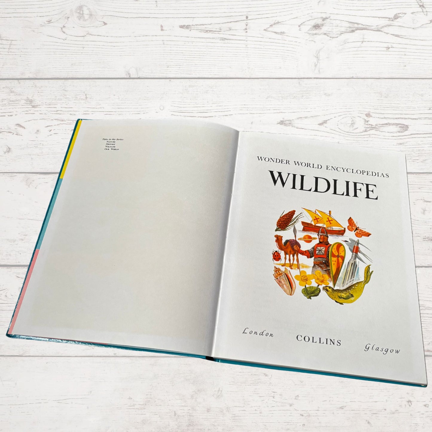 Vintage 1960s Children's Book: Wildlife - Beautifully Illustrated Colourful Hardback Encyclopaedia