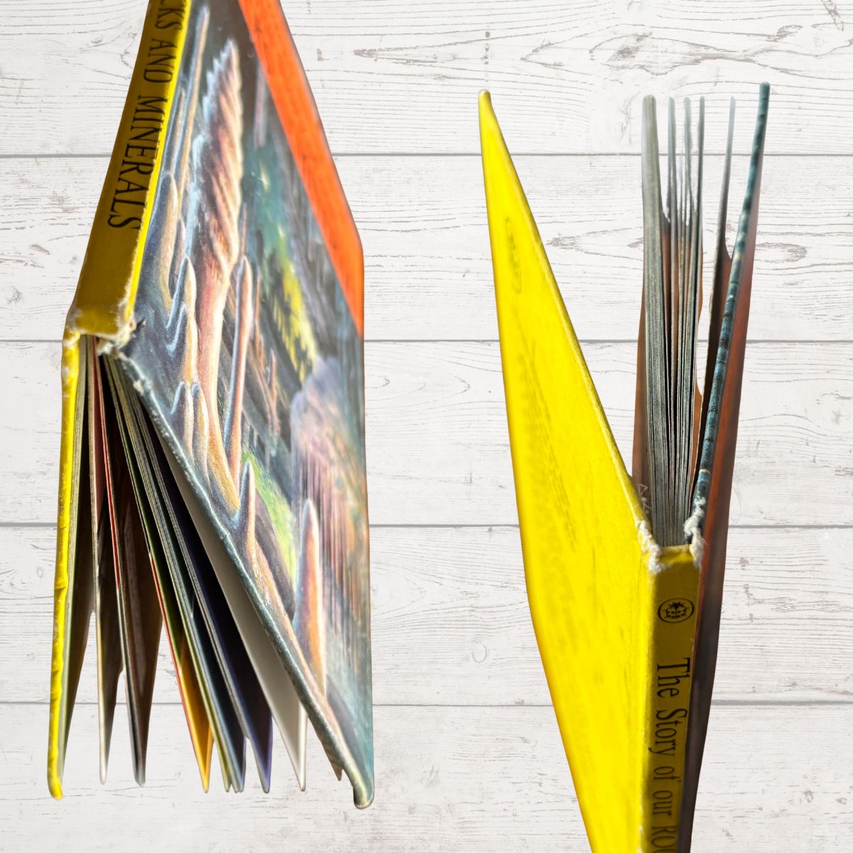 Open book with colorful pages on a wooden surface