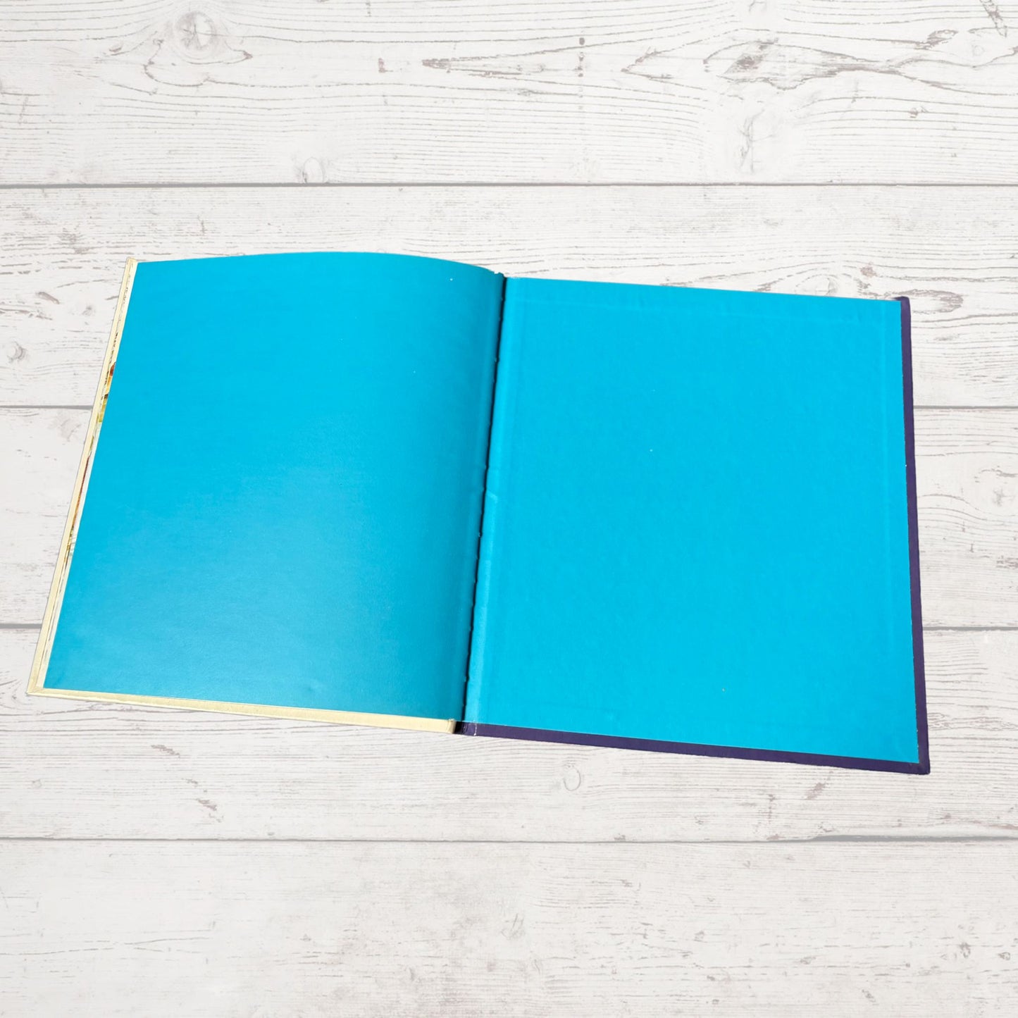 Vintage 1970s Children's Book: The Beaver  - Beautifully Illustrated Educational Hardback Animal & Nature Facts