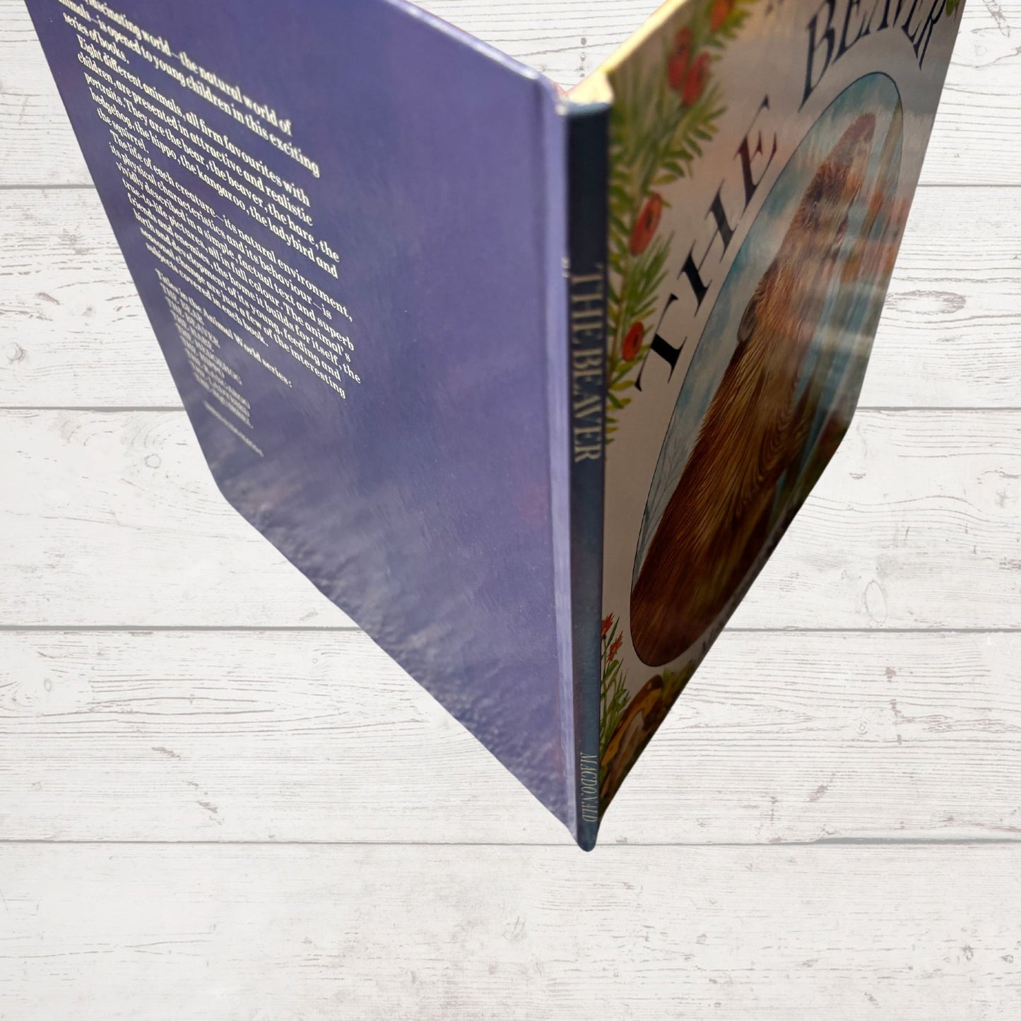 Vintage 1970s Children's Book: The Beaver  - Beautifully Illustrated Educational Hardback Animal & Nature Facts