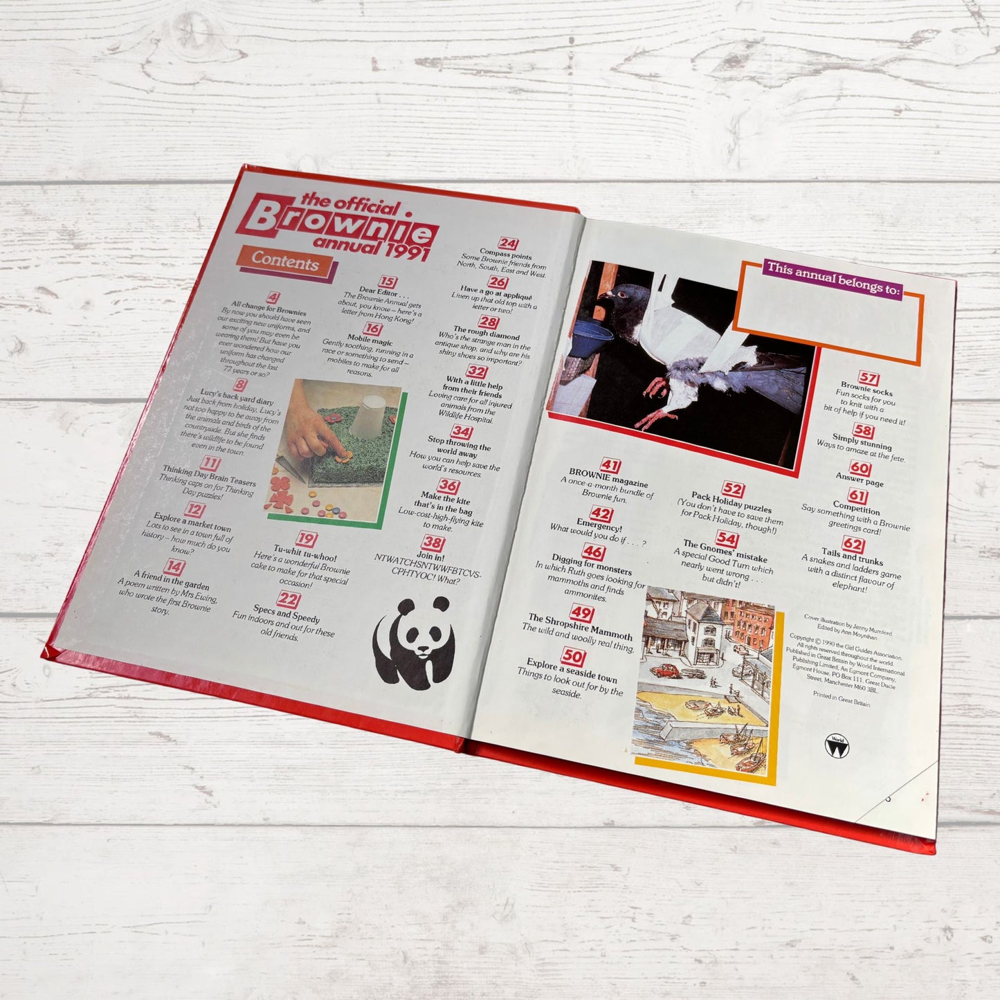 Vintage Girl Guides Annual: The Official Brownie Annual 1991. Great nostalgic gift idea