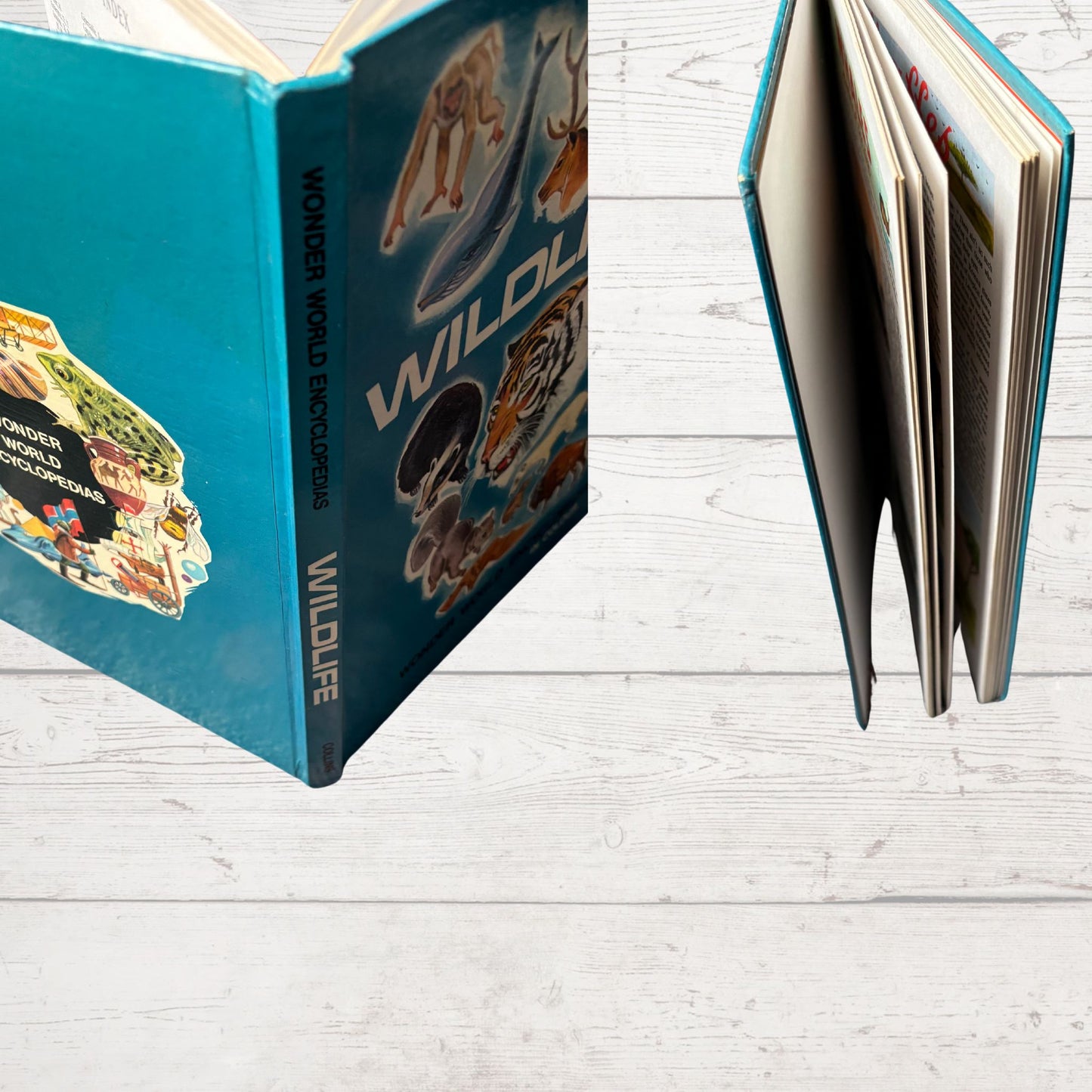 Vintage 1960s Children's Book: Wildlife - Beautifully Illustrated Colourful Hardback Encyclopaedia