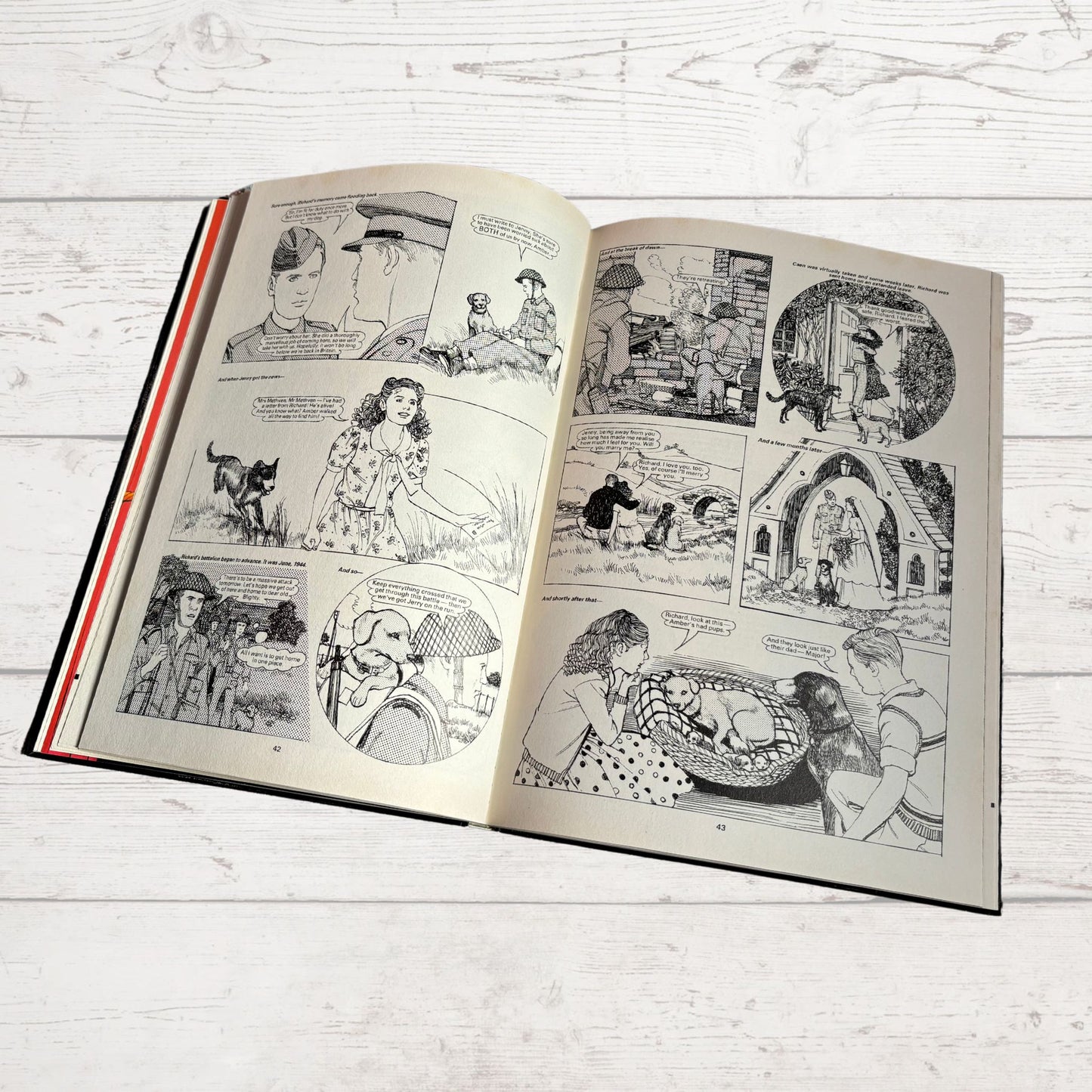 Vintage Diana Annual 1986, full of fiction, fashion, fun and nostalgia. Great gift idea