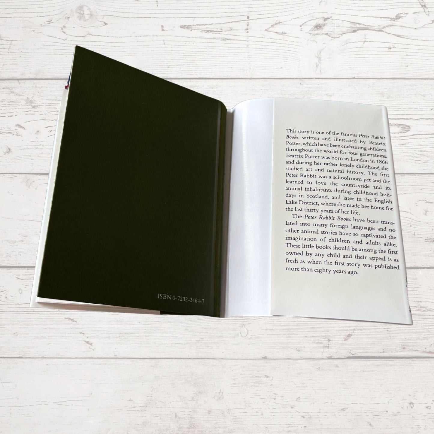 The Tale of Two Bad Mice. Vintage Beatrix Potter Book. 1989 edition. Great Gift Idea