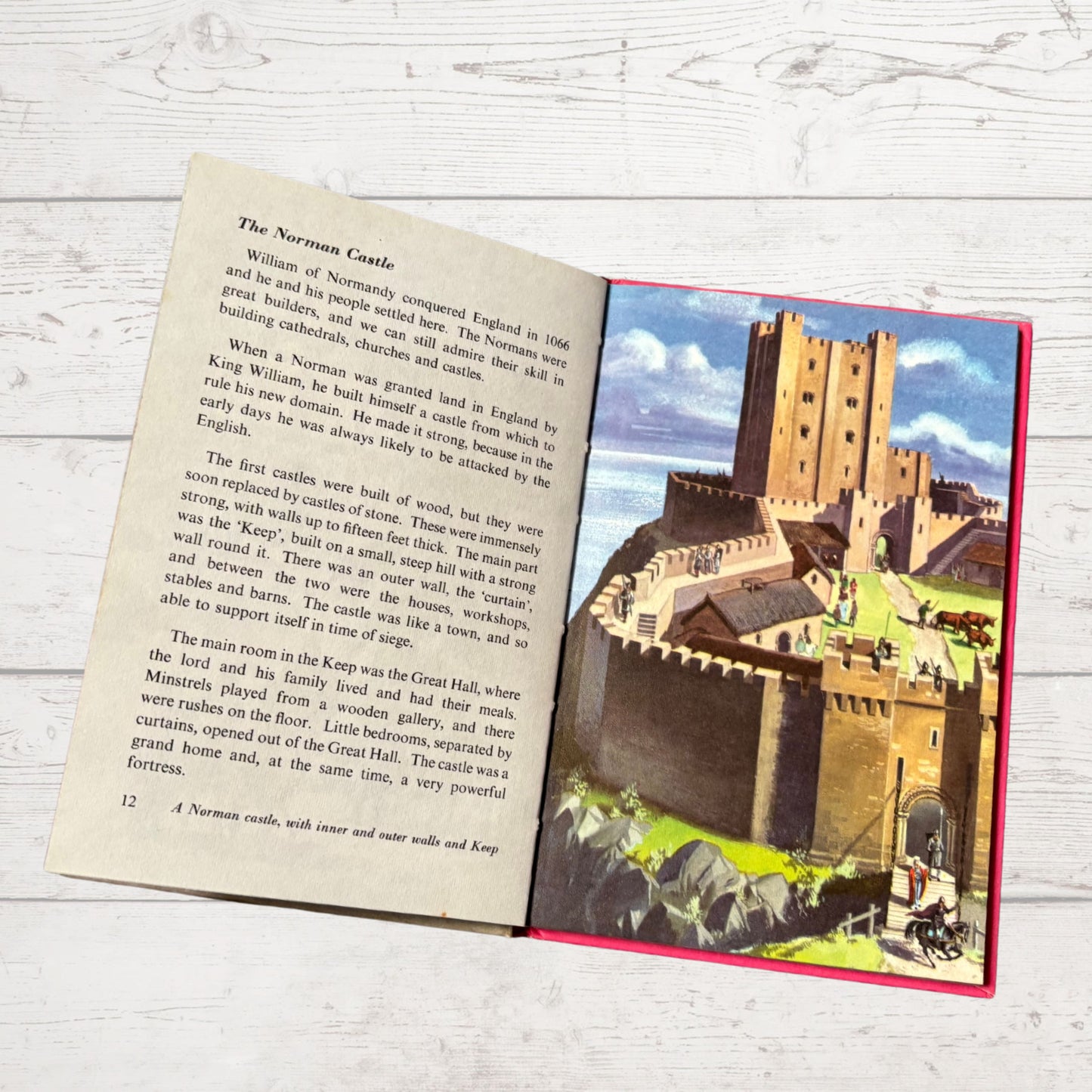 Vintage 1970s Ladybird Achievement’s Book. The Story of Houses and Homes. Series 601. Great Gift Idea